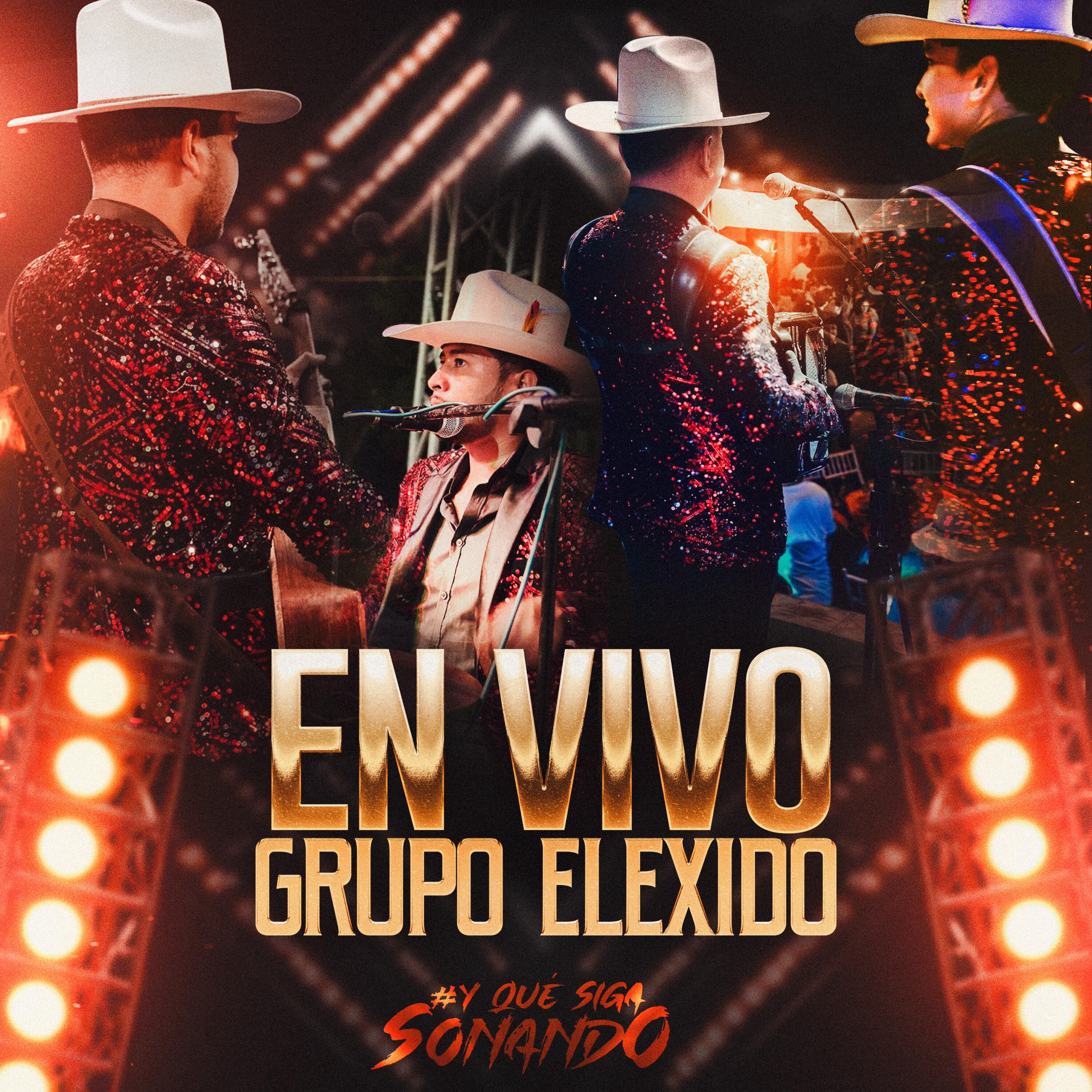 Grupo Elexido