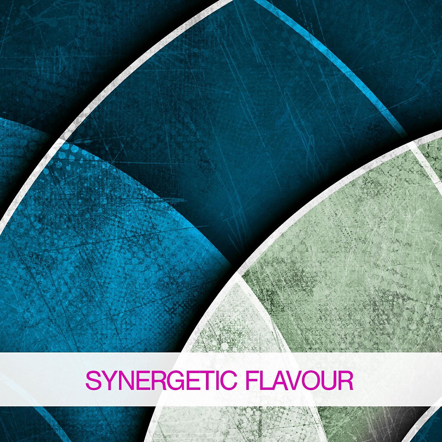 Релиз Synergetic Flavour