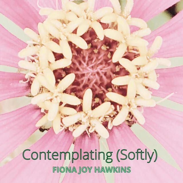 Релиз Contemplating (Softly)