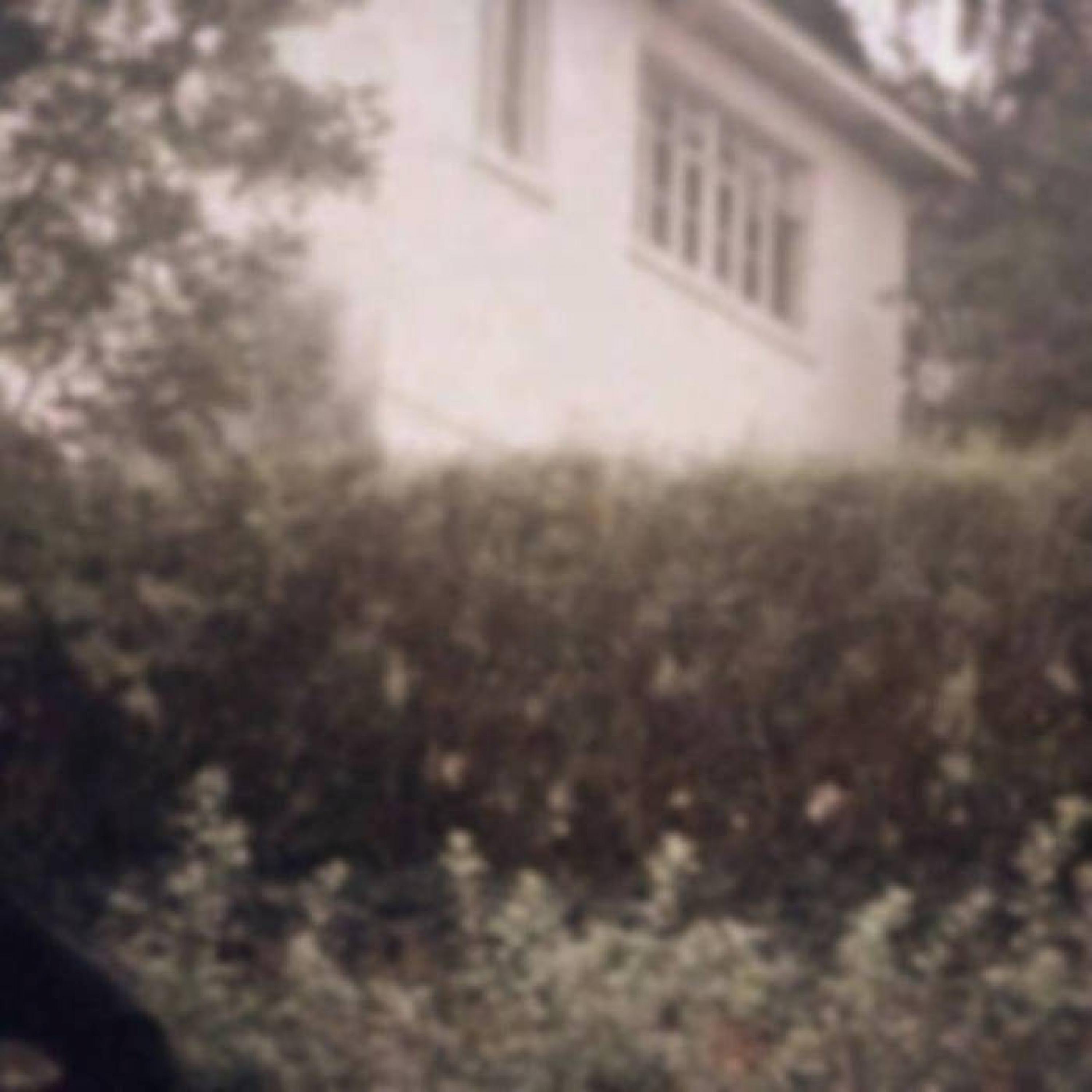 Релиз Backyard Cemetery II