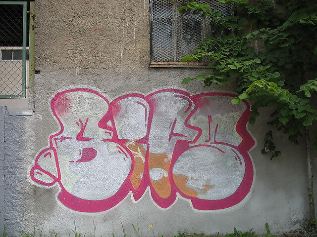 Bmp