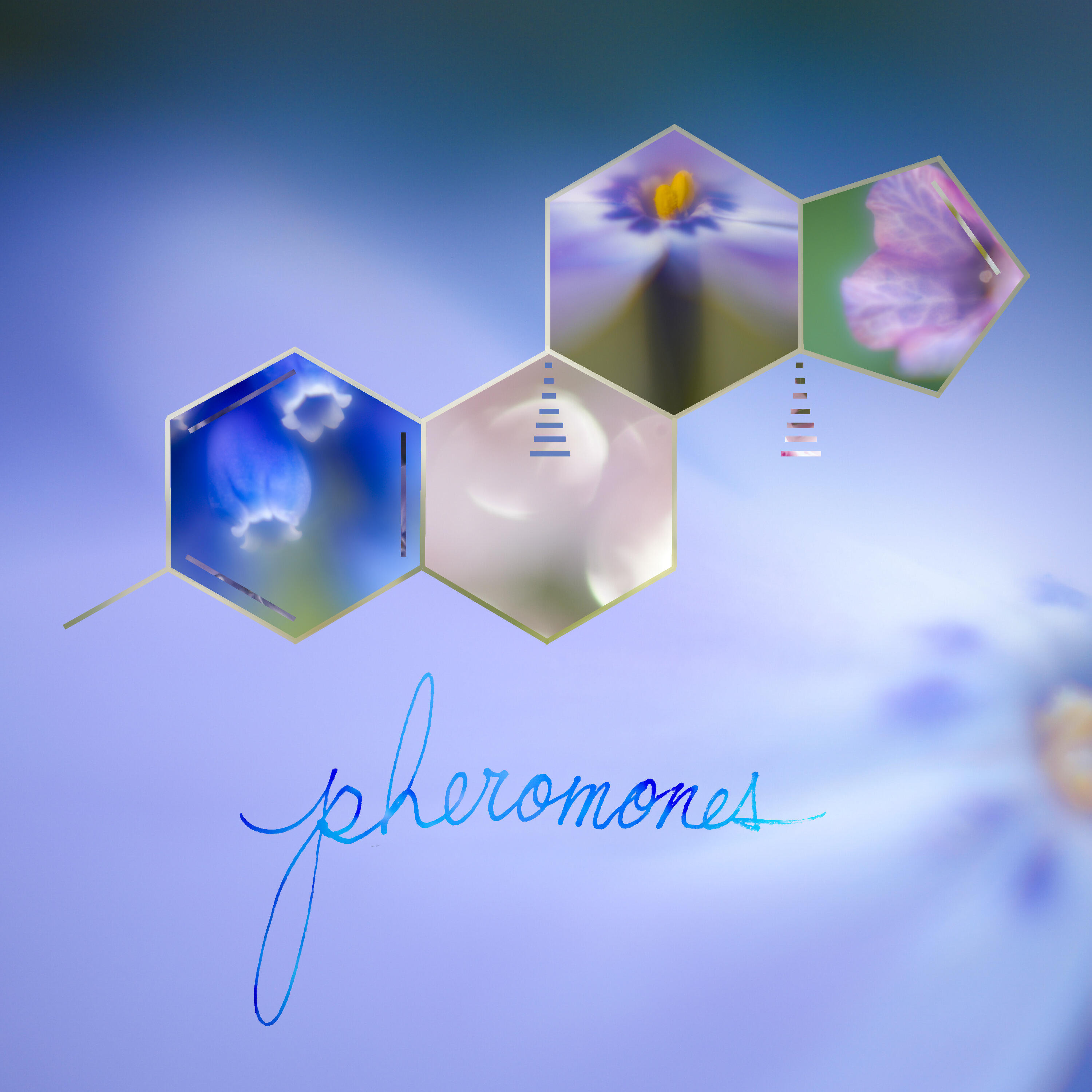 Релиз Pheromones