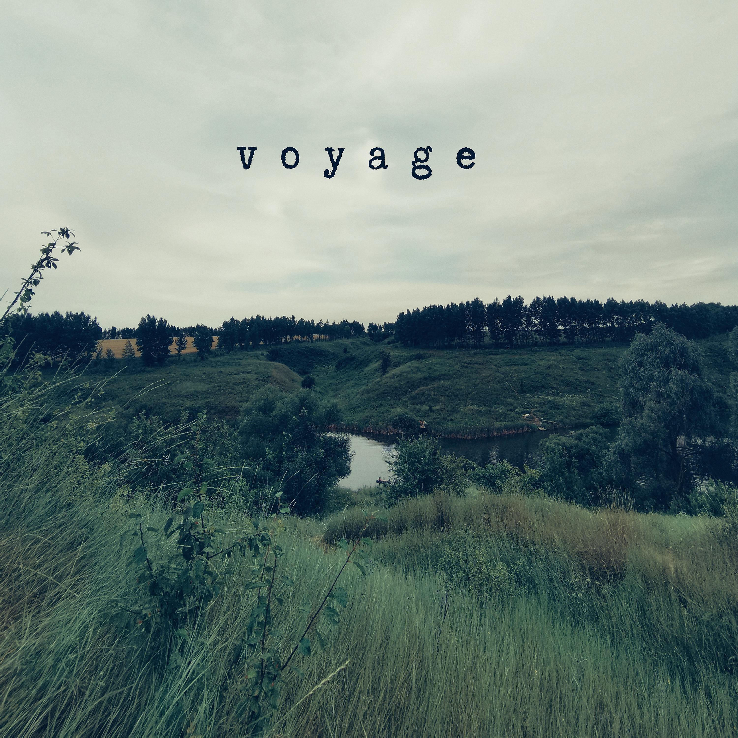 Релиз voyage