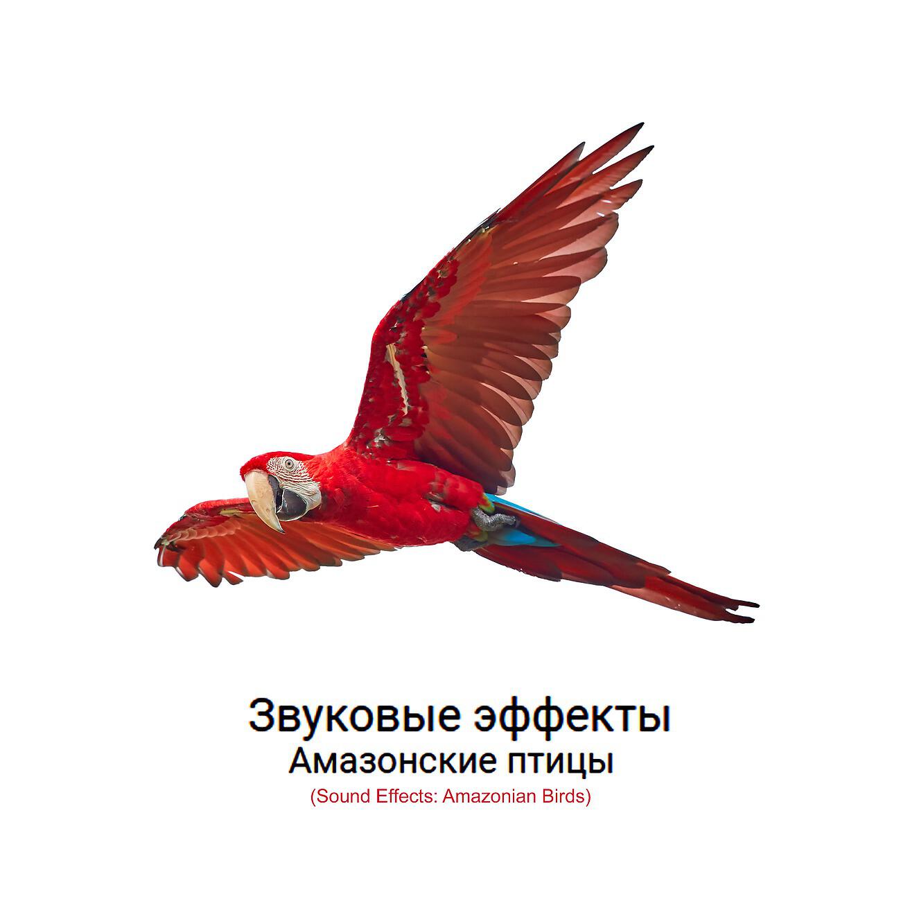 Релиз Звуковые эффекты