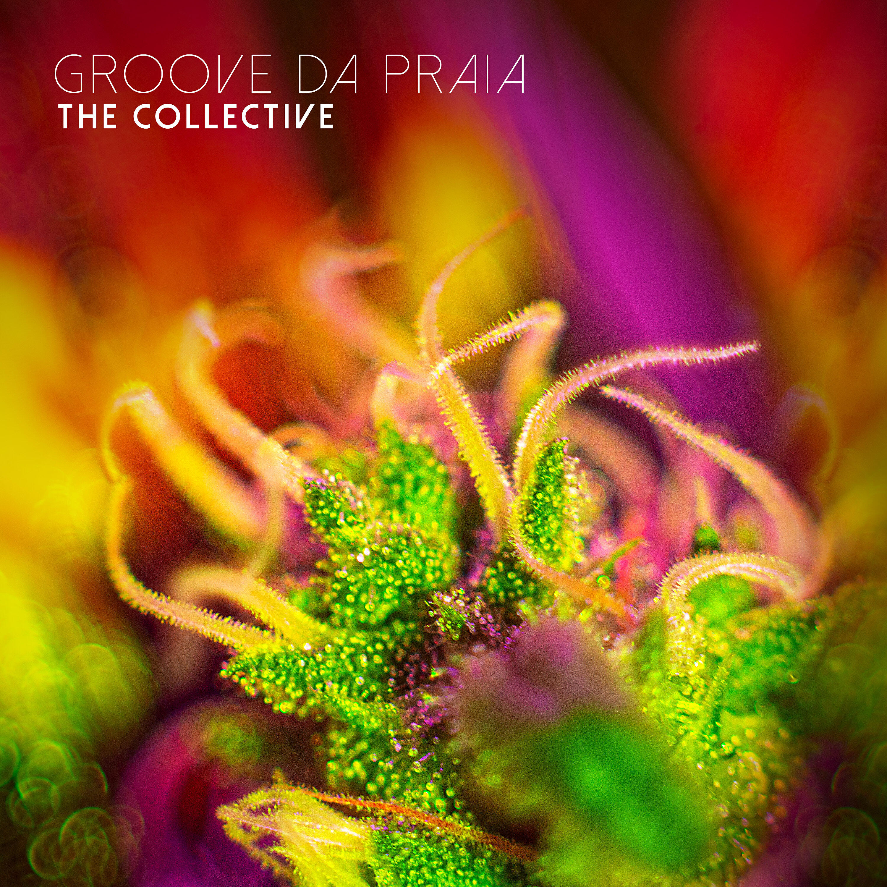 Релиз The Collective