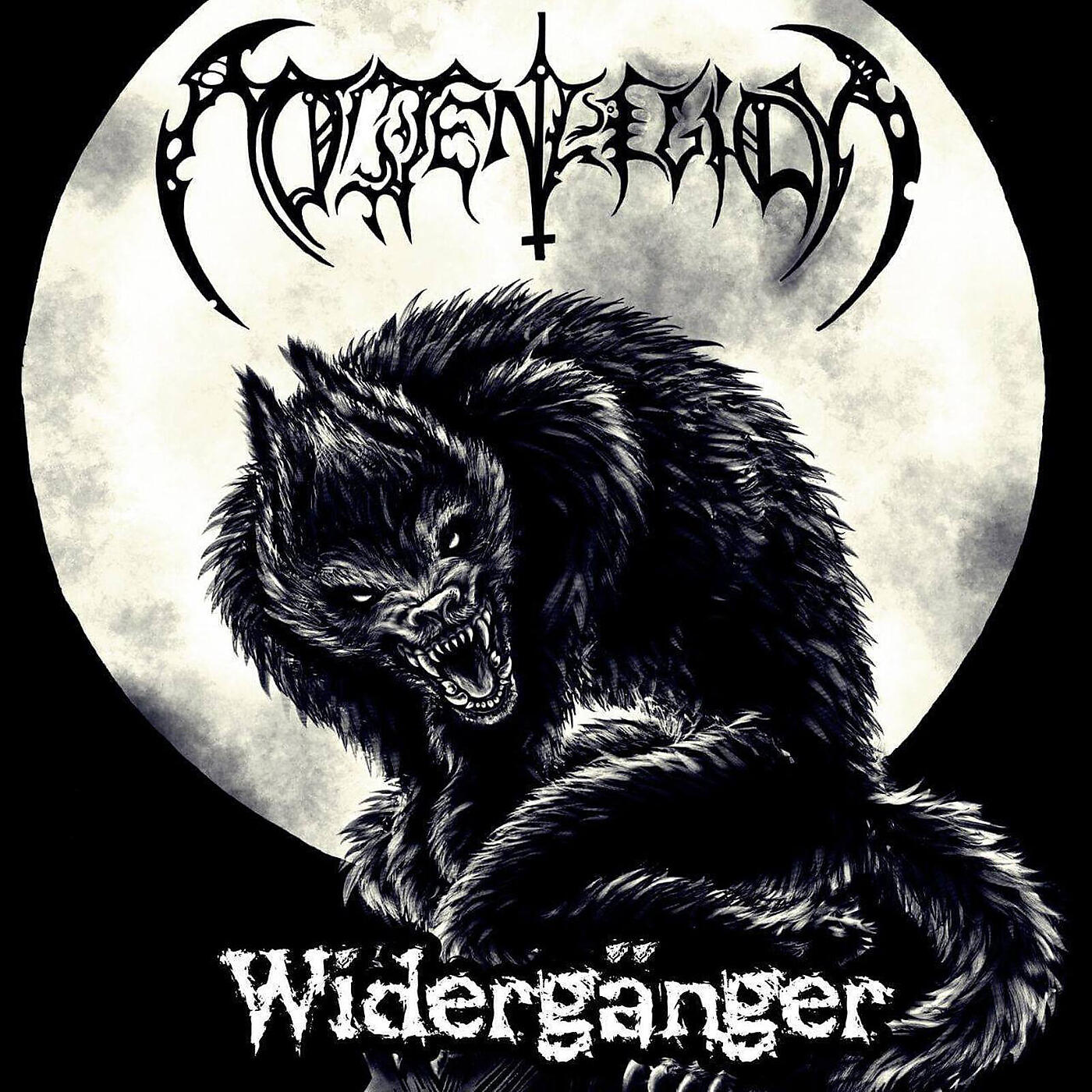Постер альбома Widergänger