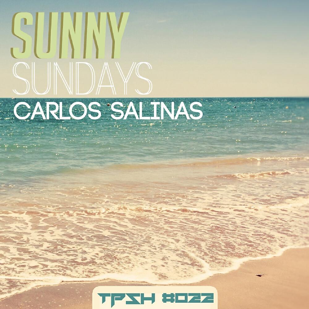 Релиз Sunny Sundays (Carlos Salinas Remix)