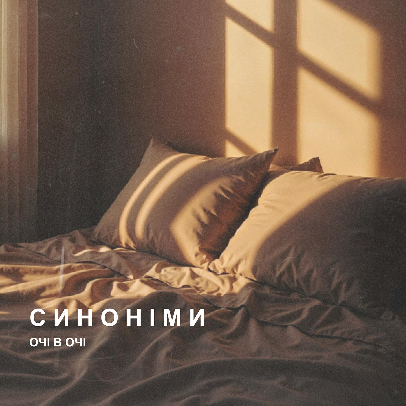 Постер альбома Синоніми