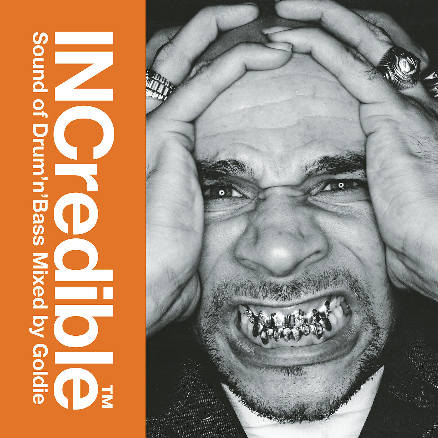 Релиз INCredible Sound of Drum'n'Bass Mixed by Goldie