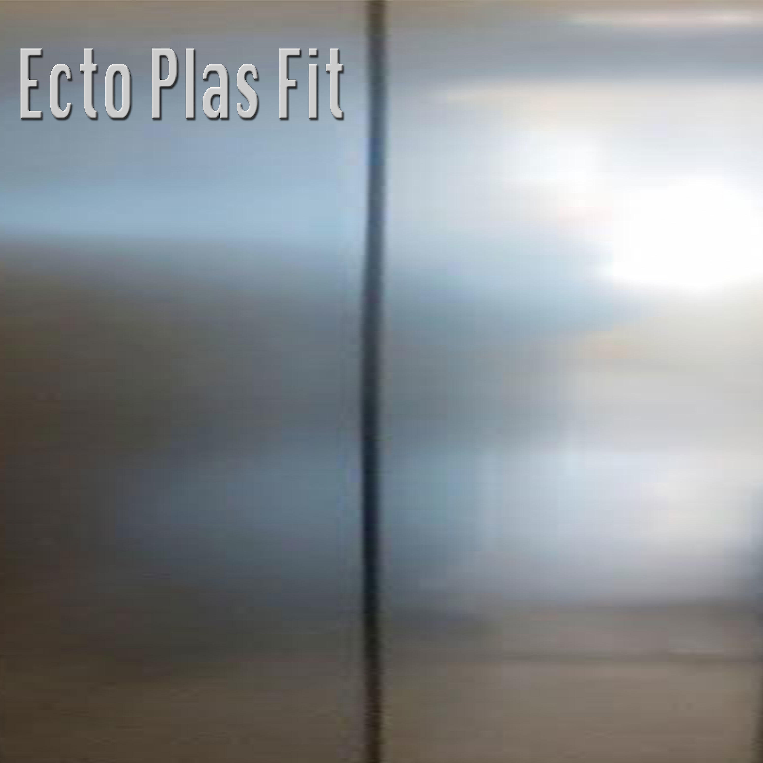 Релиз Ecto Plas Fit