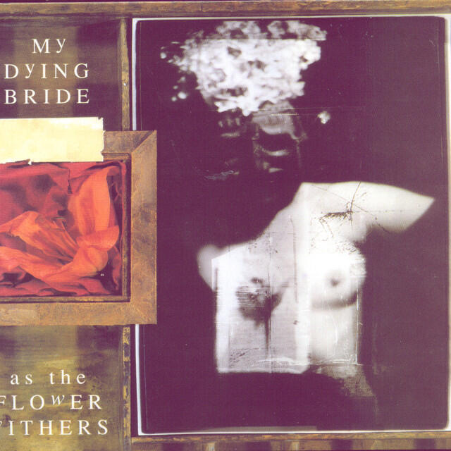Релиз As the Flowers Withers