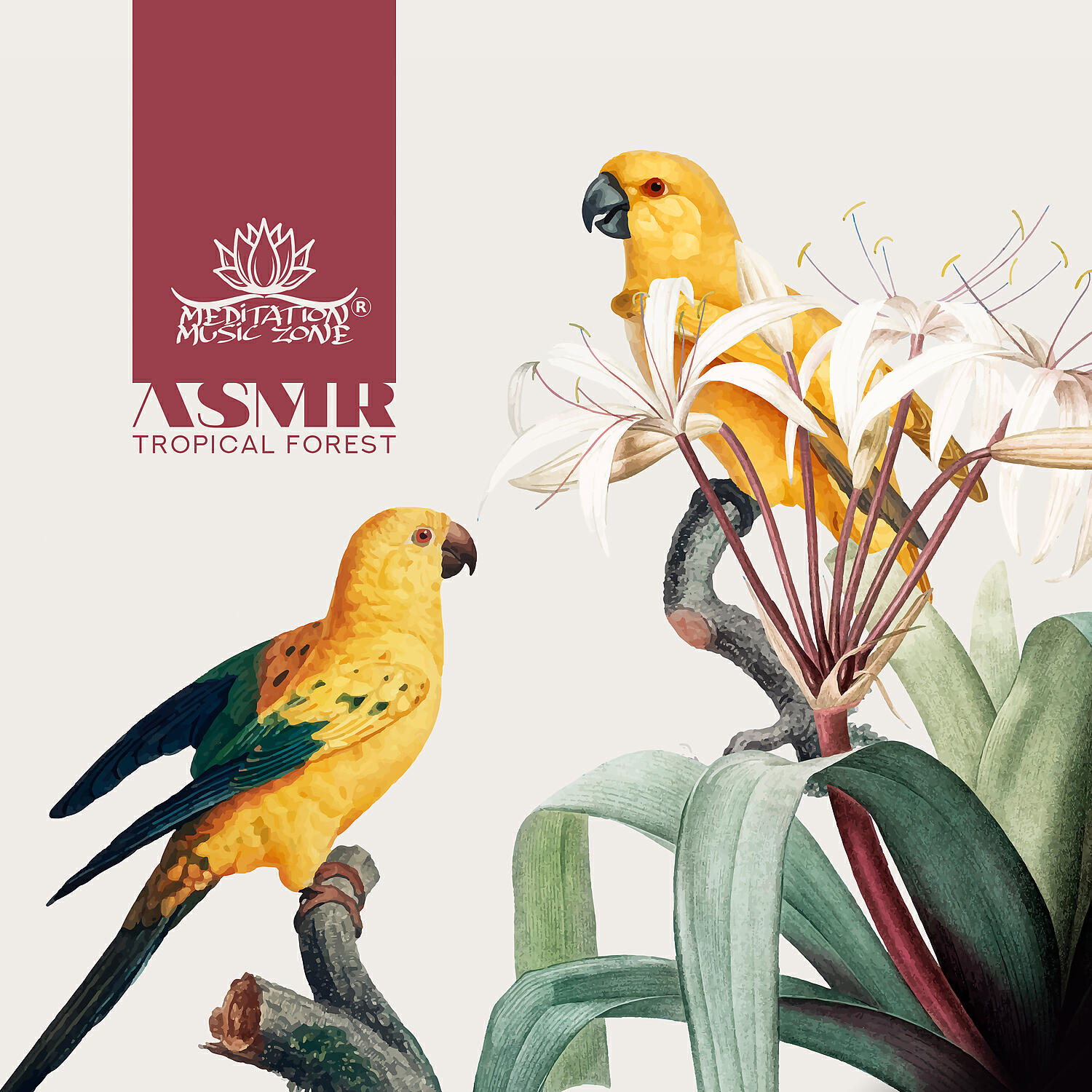 Релиз ASMR Tropical Forest - Exotic Sounds for Relaxation, Sleep & Holiday Feelings