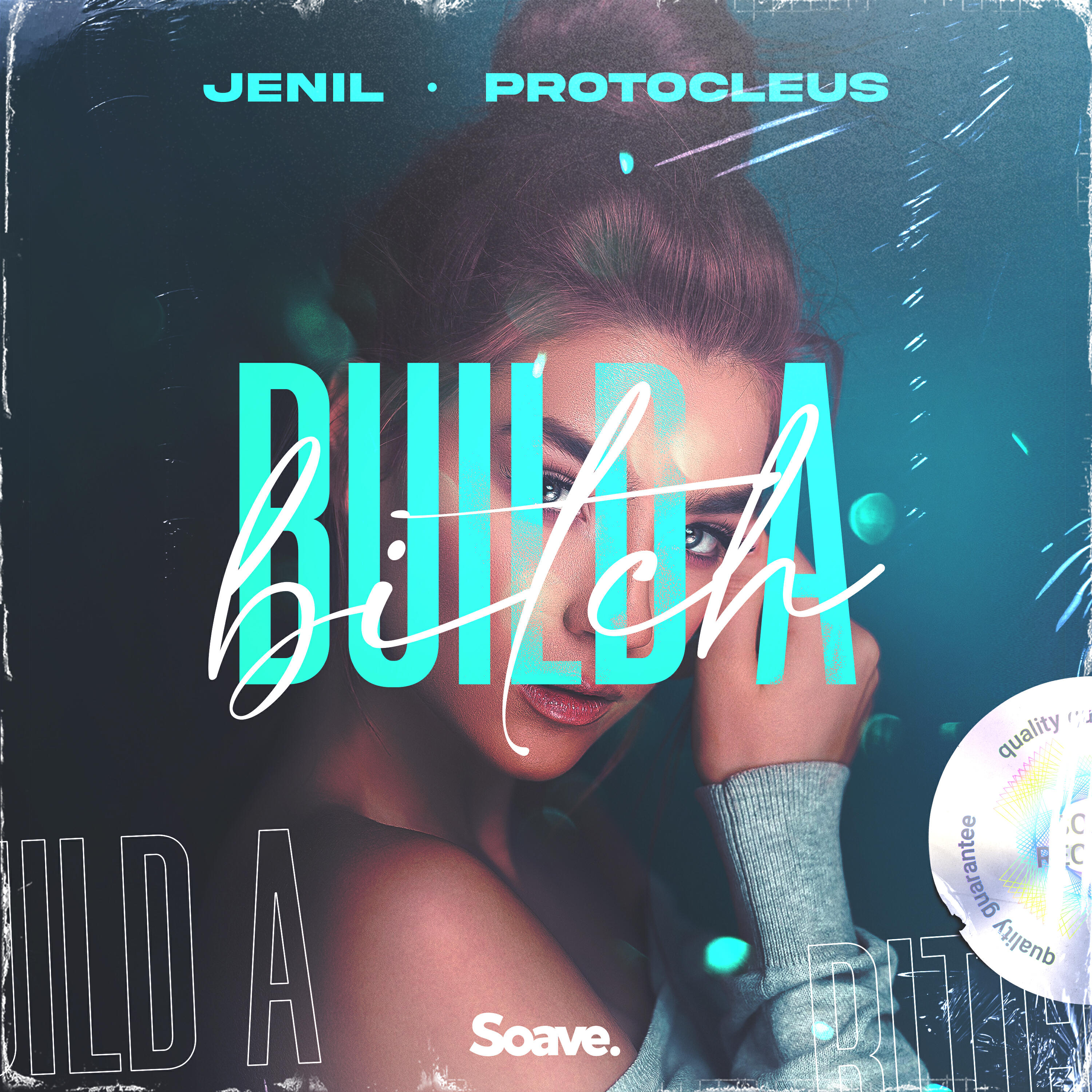 Постер альбома Build A Bitch