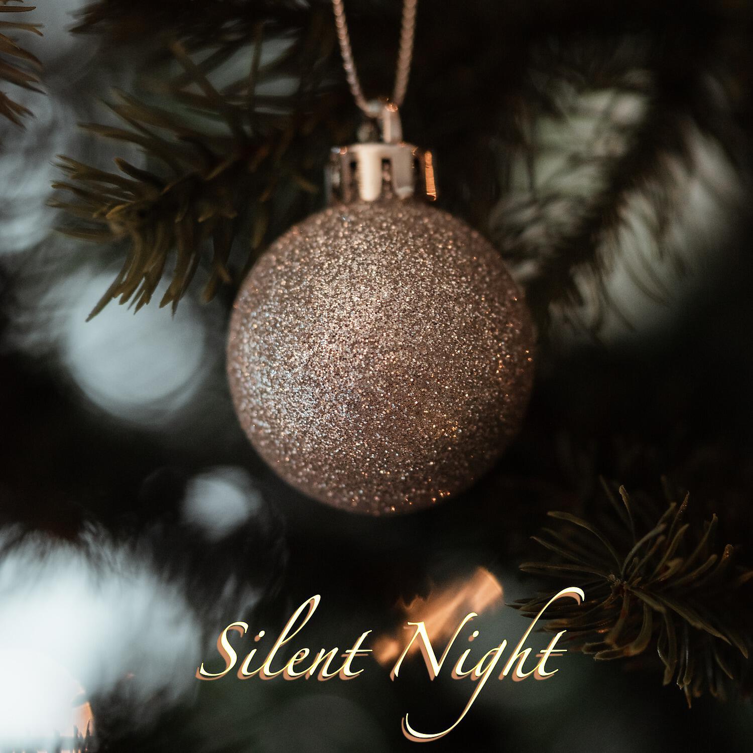 Релиз Silent Night
