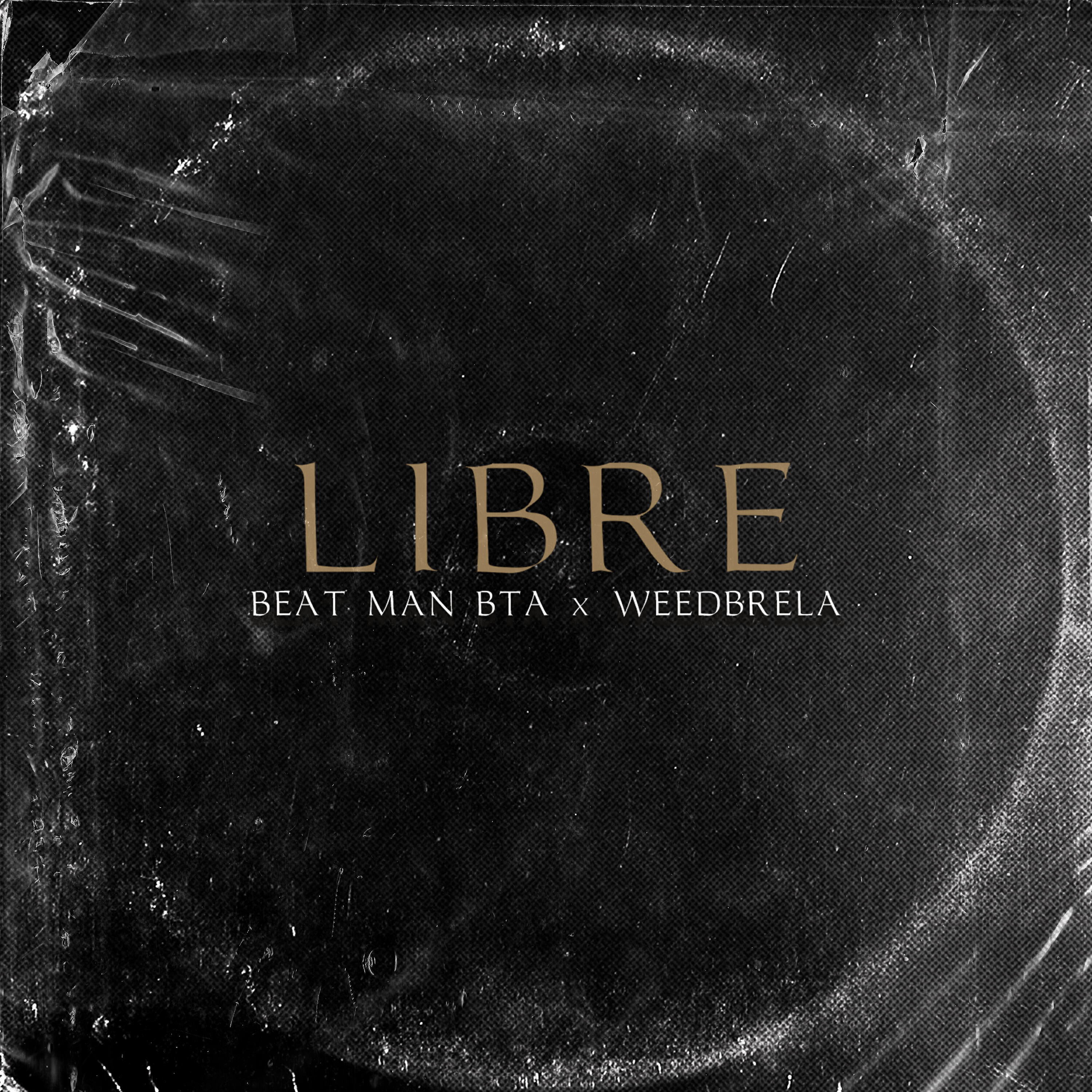 Релиз Libre