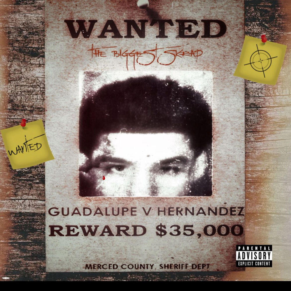 Релиз WANTED