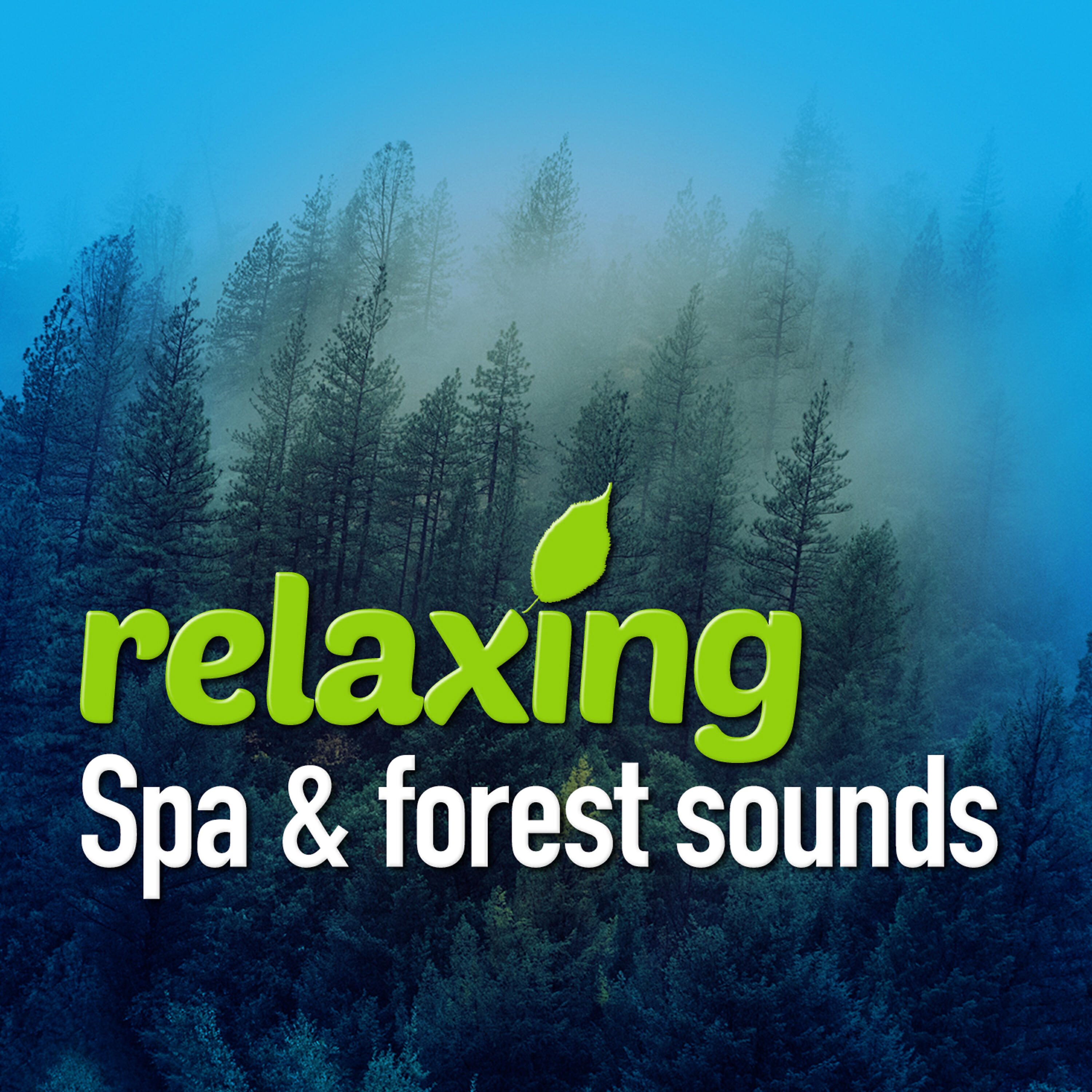 Релиз Relaxing Spa & Forest Sounds