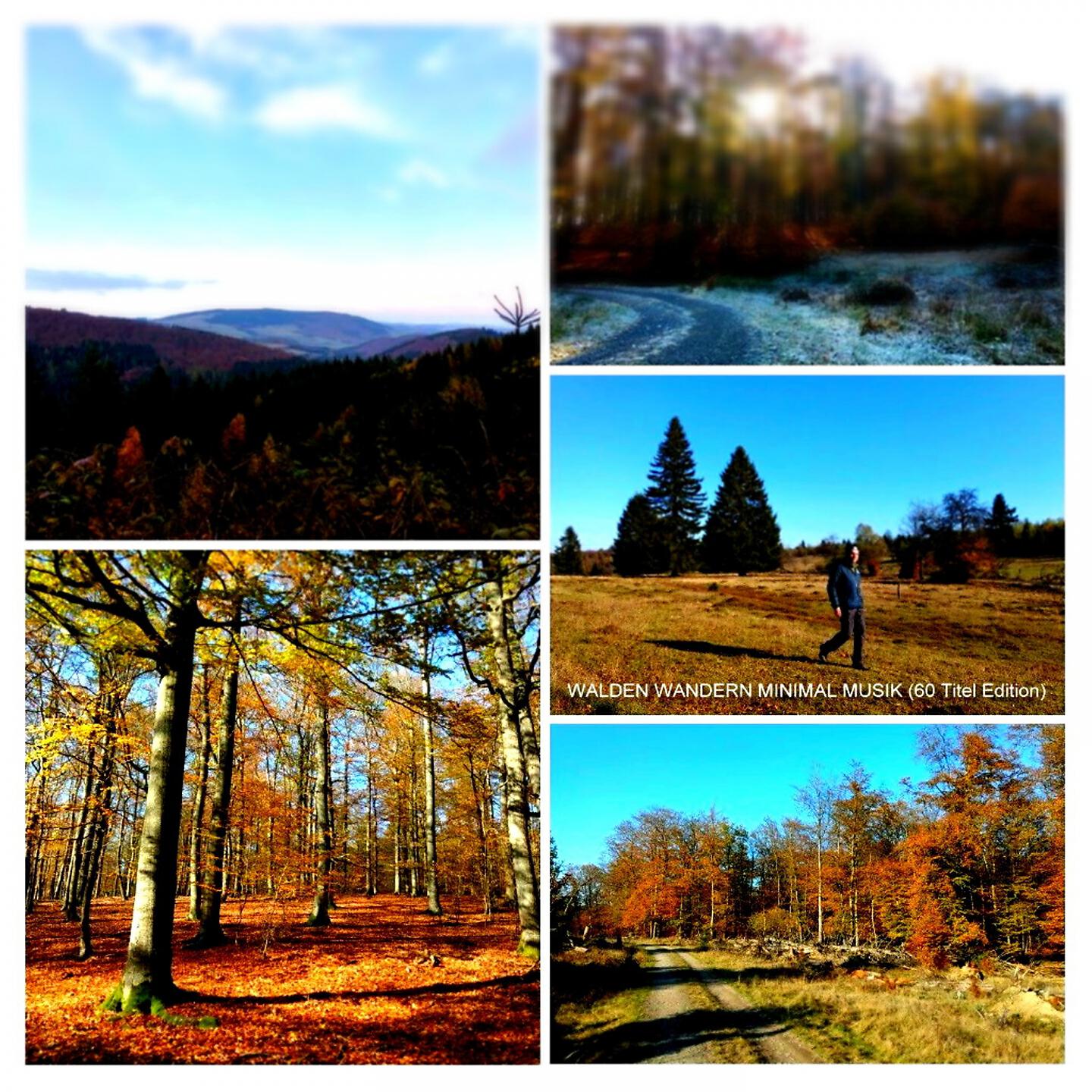 Релиз Walden Wandern Minimal Musik