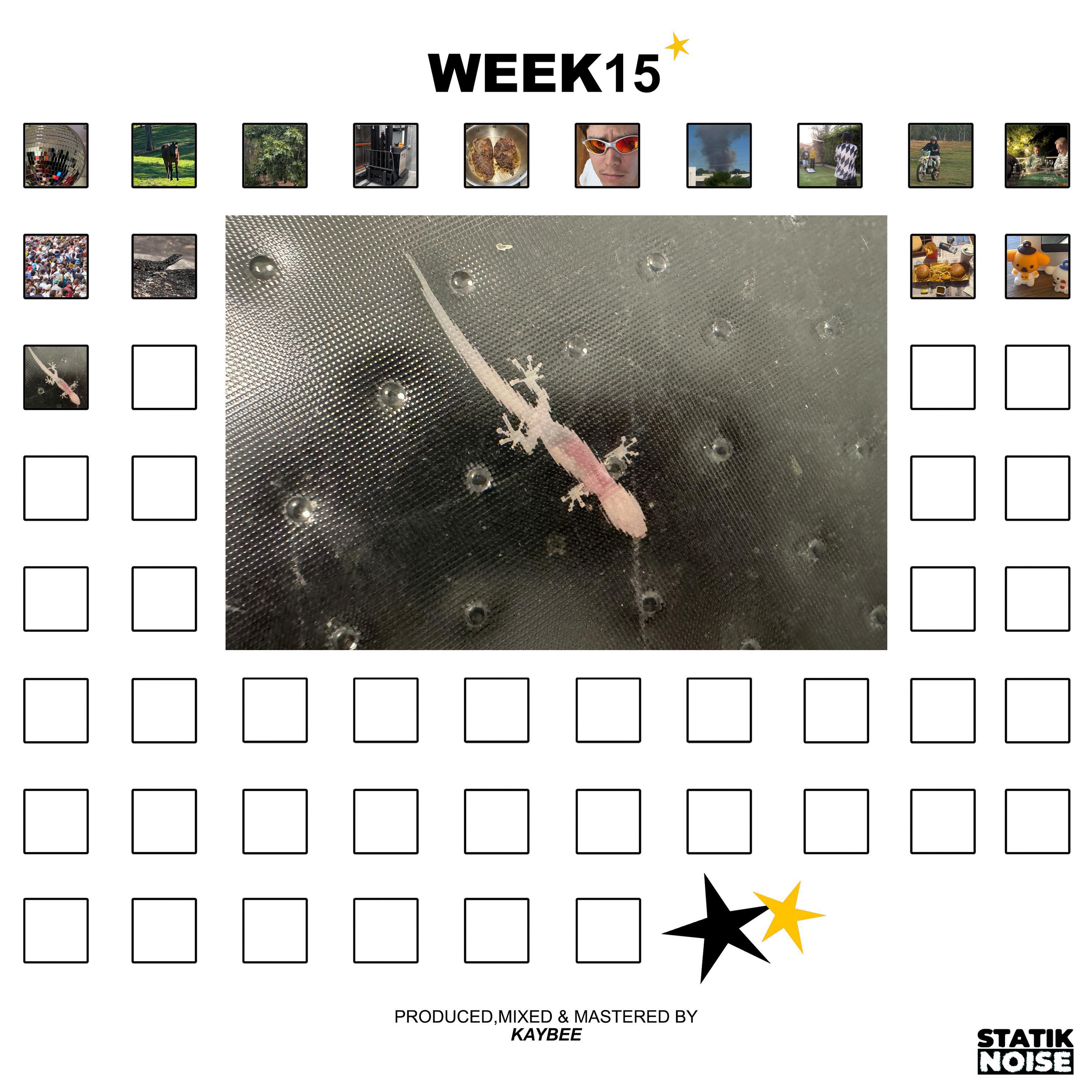 Релиз WEEK15