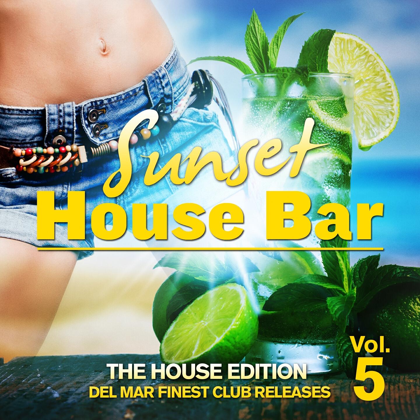 Релиз Sunset House Bar, Vol. 5