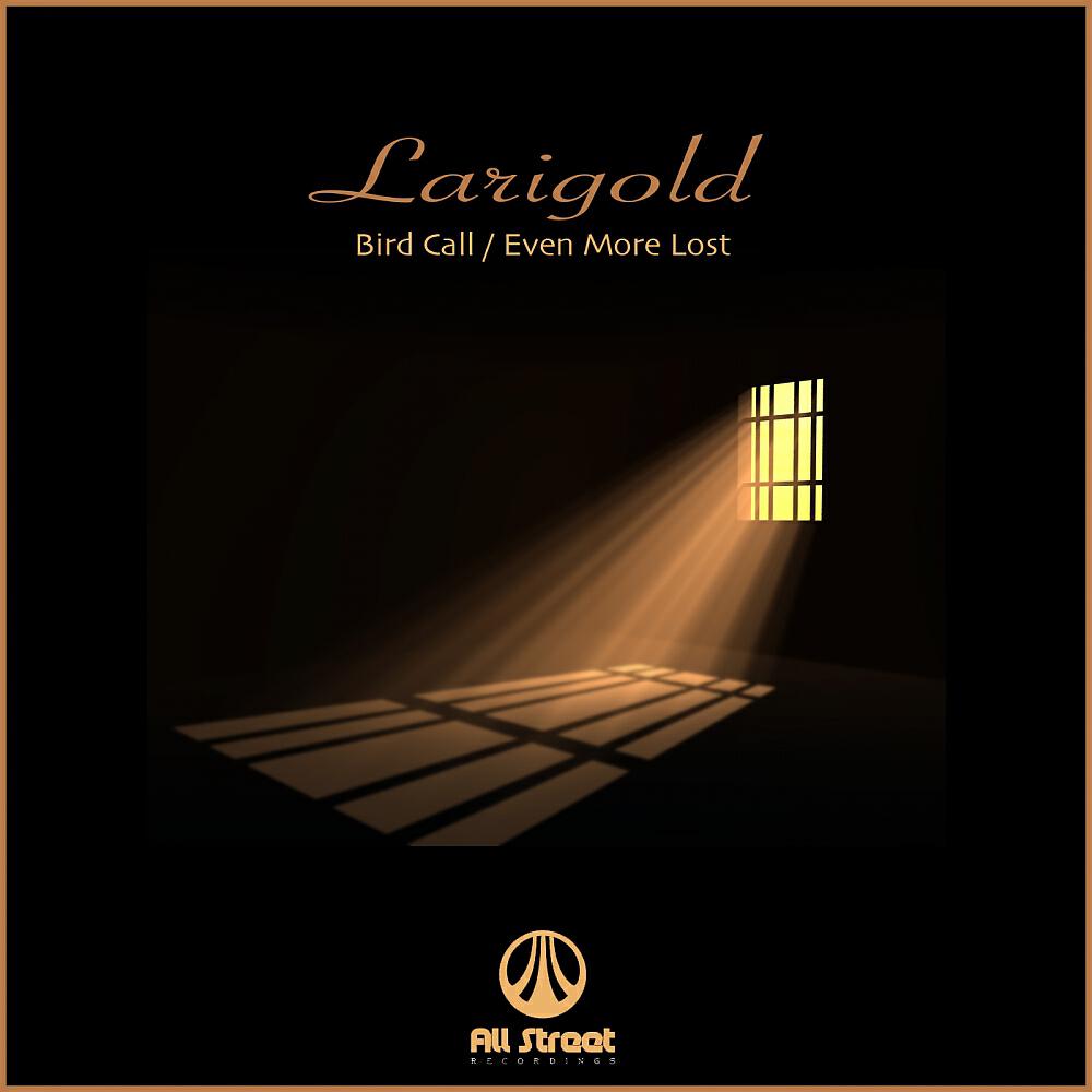 Релиз Bird Call / Even More Lost