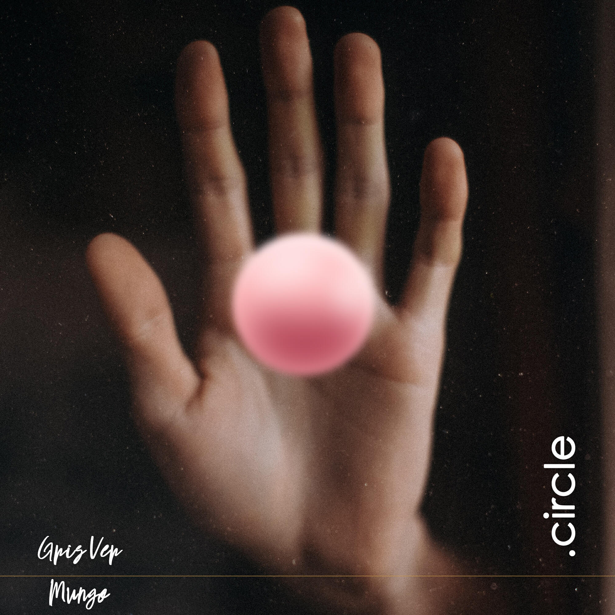 Релиз Circle