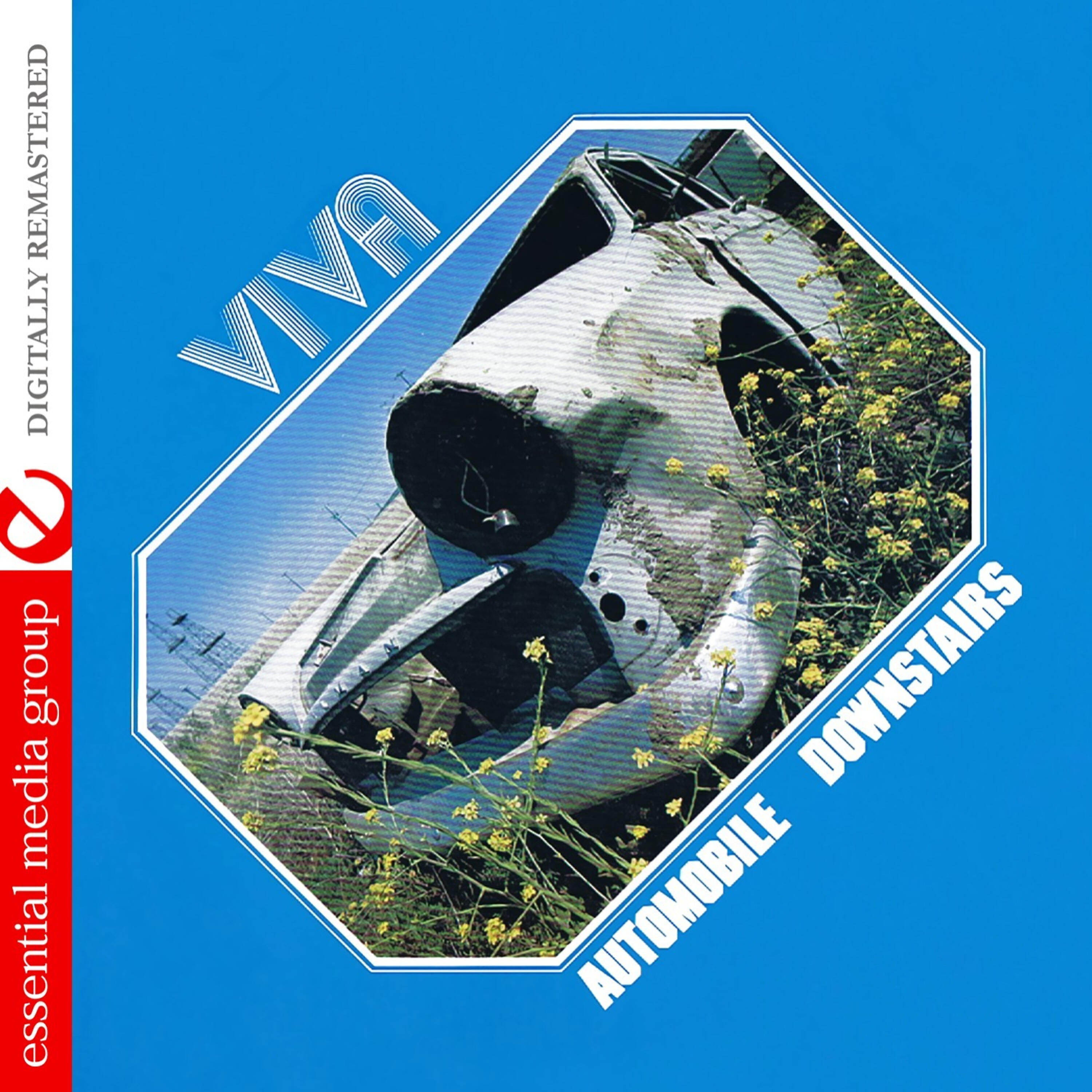 Релиз Automobile Downstairs (Johnny Kitchen Presents Viva) (Remastered)