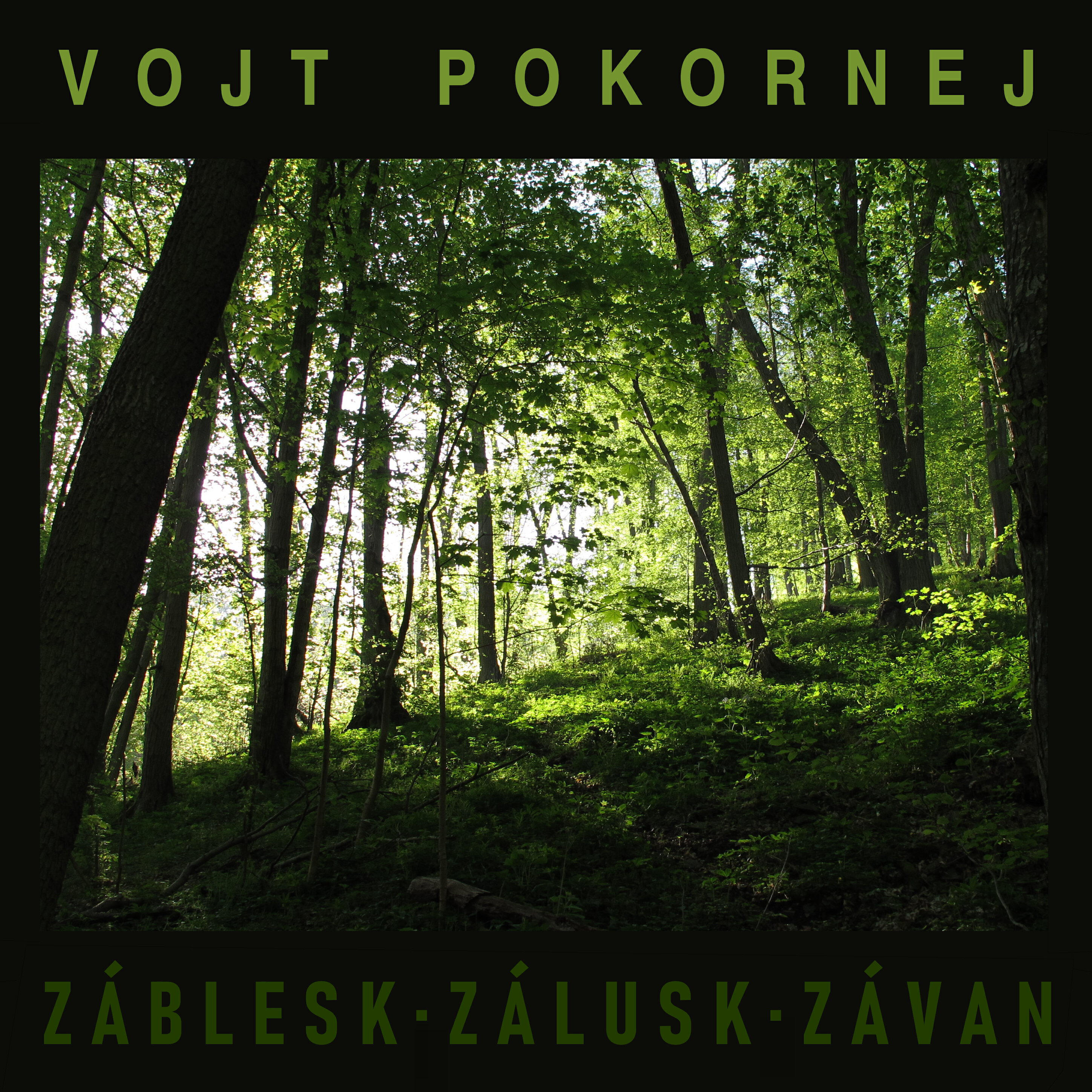 Постер альбома Záblesk, zálusk, závan