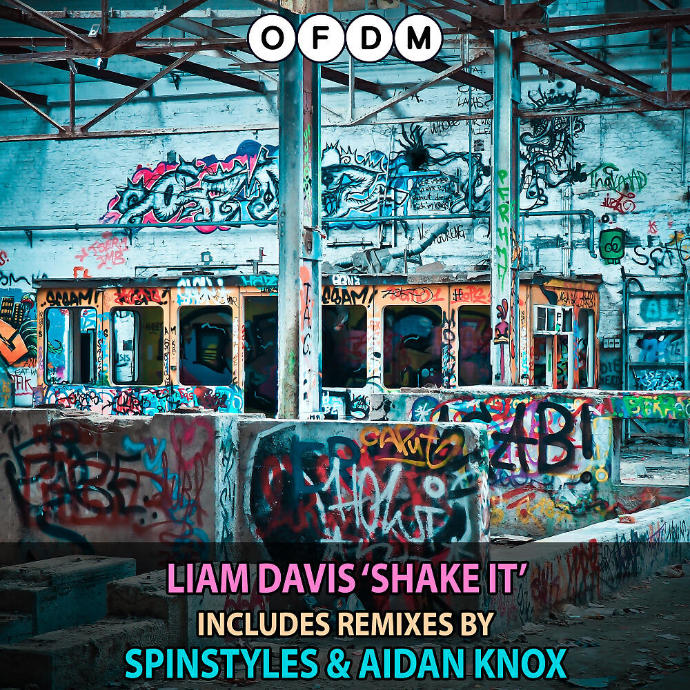 Релиз Shake It