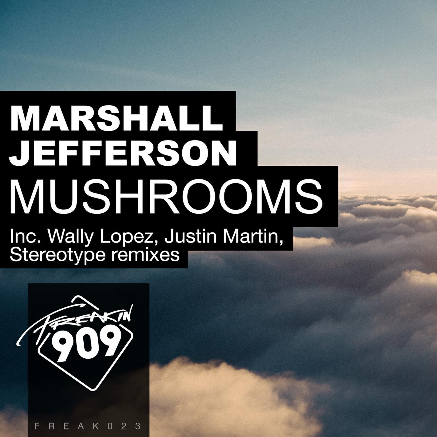 Релиз Mushrooms (Remixes, Pt. 2)