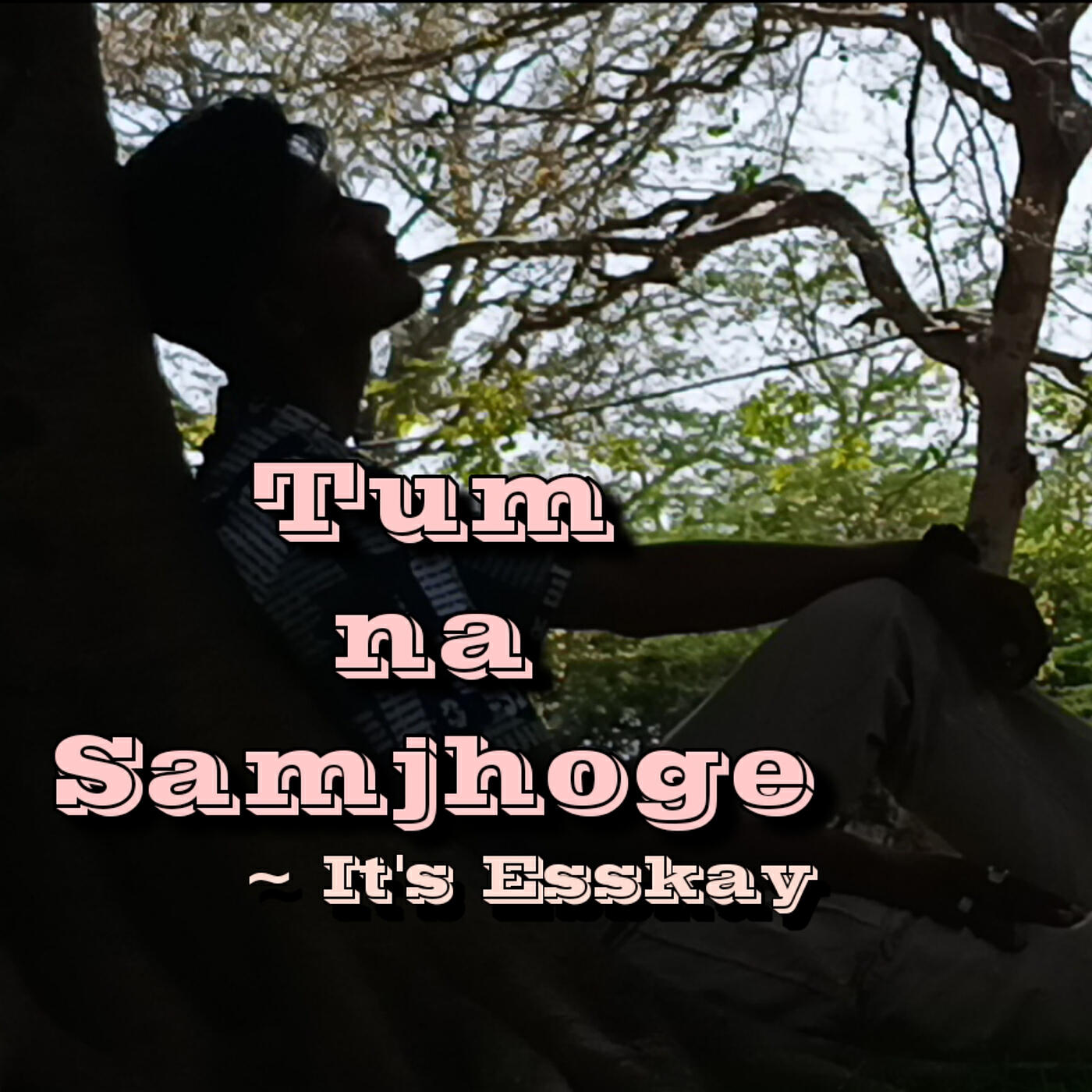 Релиз Tum Na Samjhoge