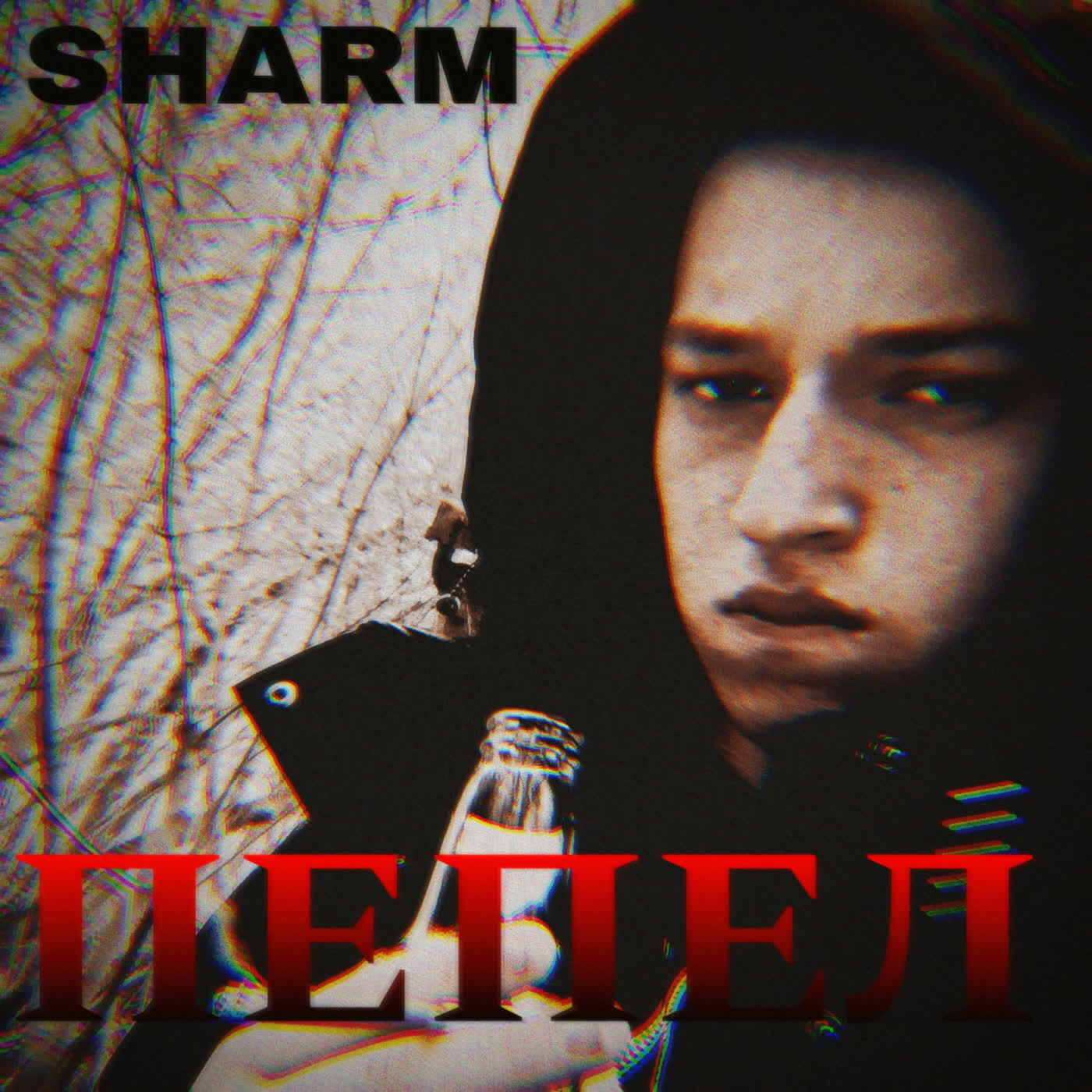 Изображение артиста