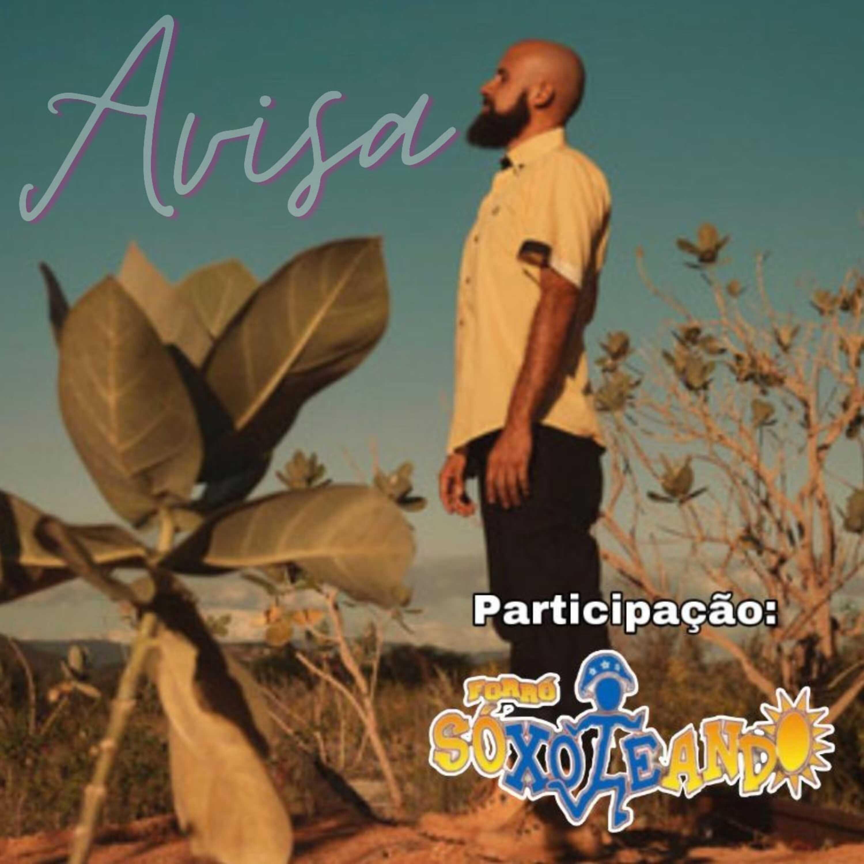 Релиз Avisa
