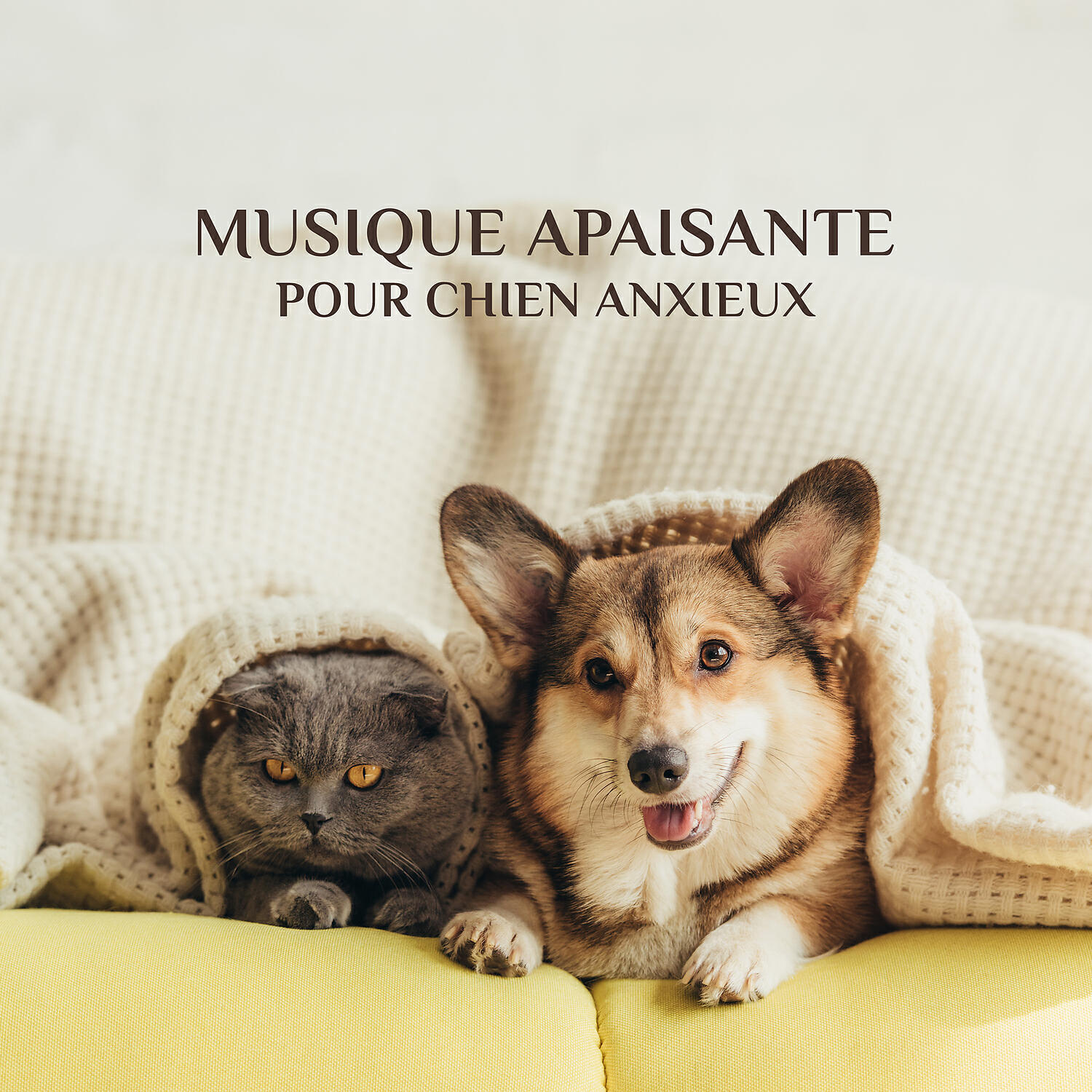 Релиз Musique apaisante pour chien anxieux: Berceuses apaisantes pour chiens anxieux et stressés