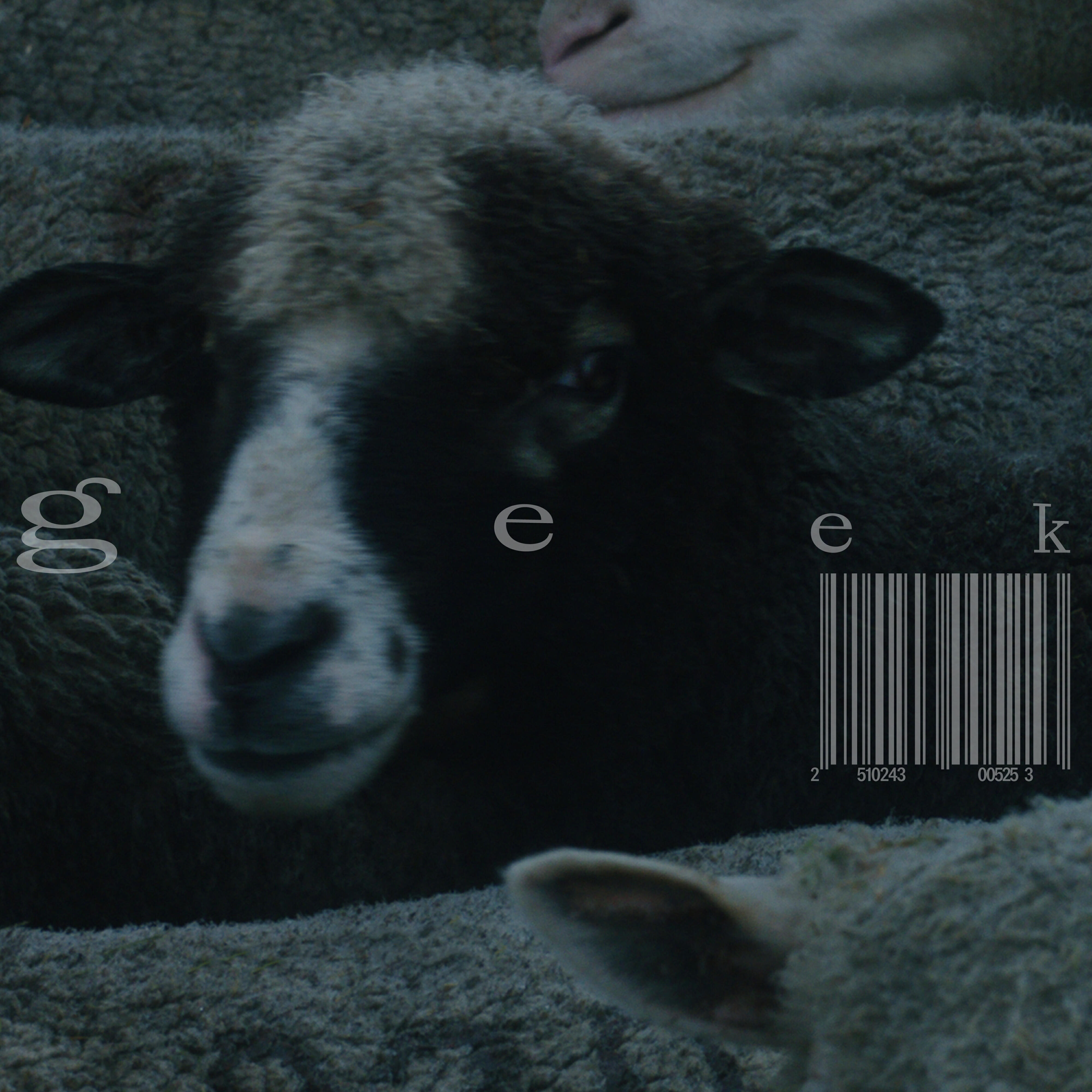 Релиз geek