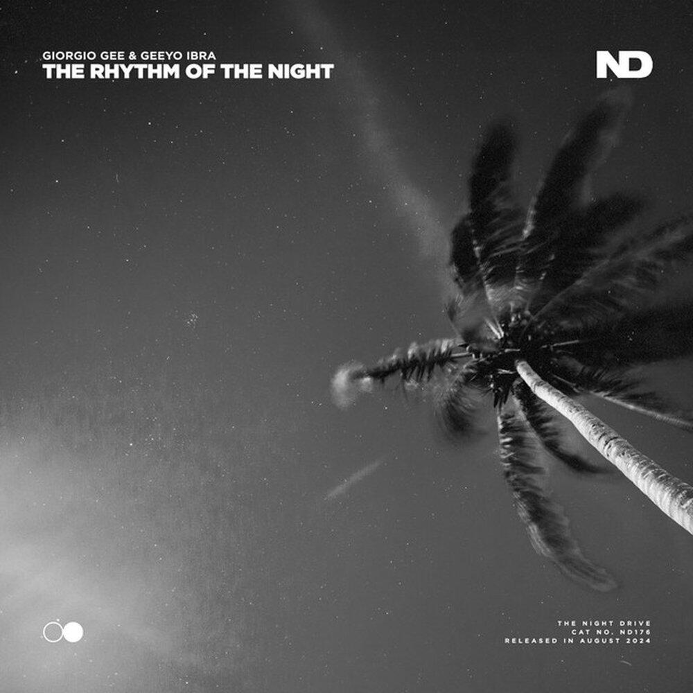 Релиз The Rhythm of the Night
