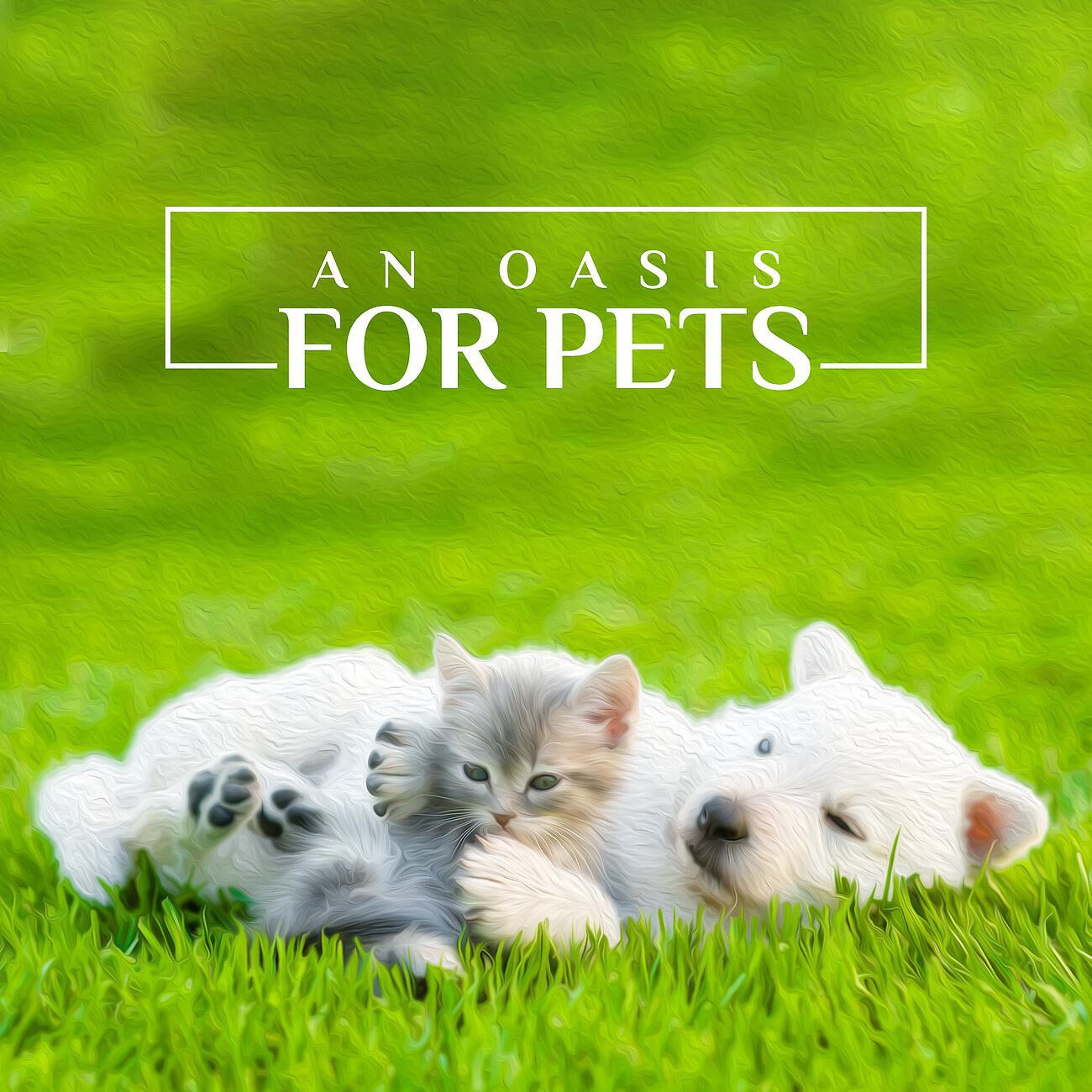 Релиз An Oasis for Pets - Relax, Peace and a Moment of Oblivion