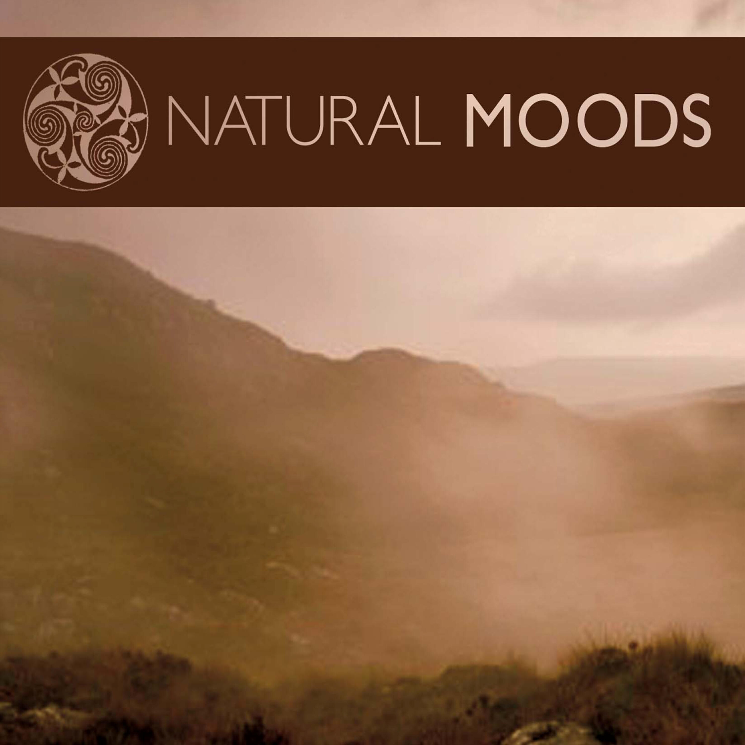 Постер альбома Natural Moods