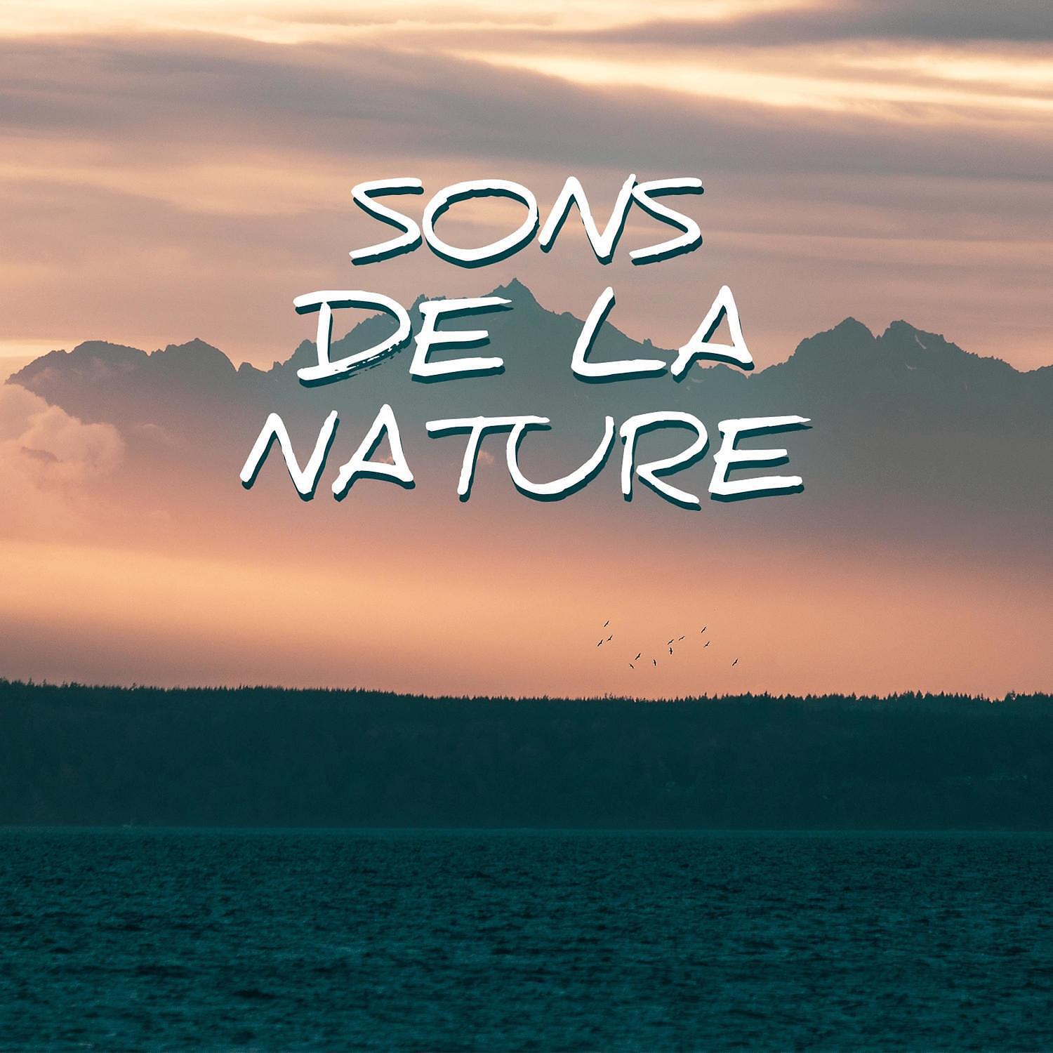 Musique de fond naturelle