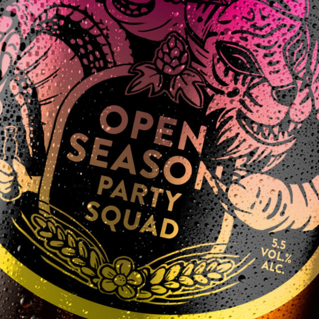 Релиз Party Squad