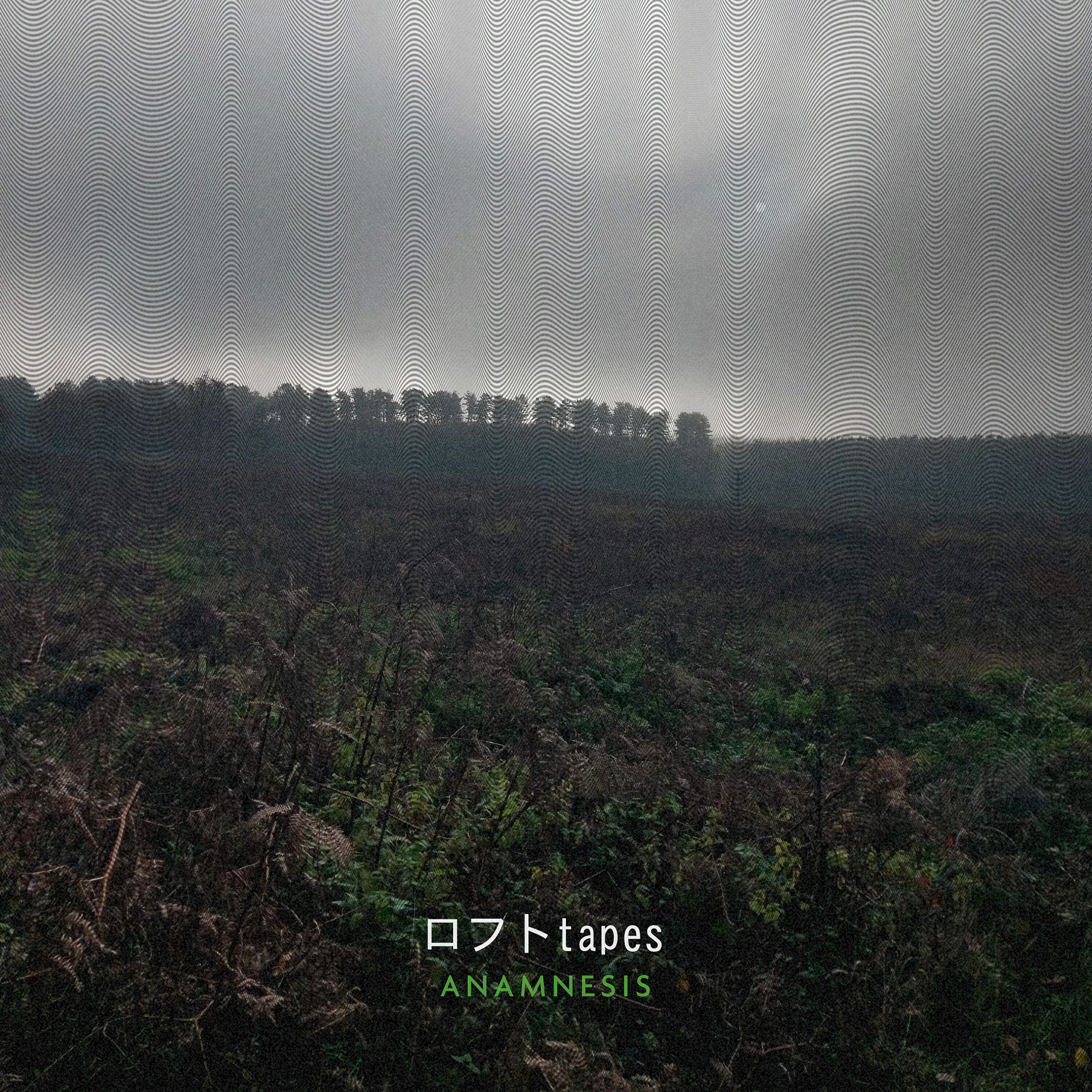 Релиз Anamnesis