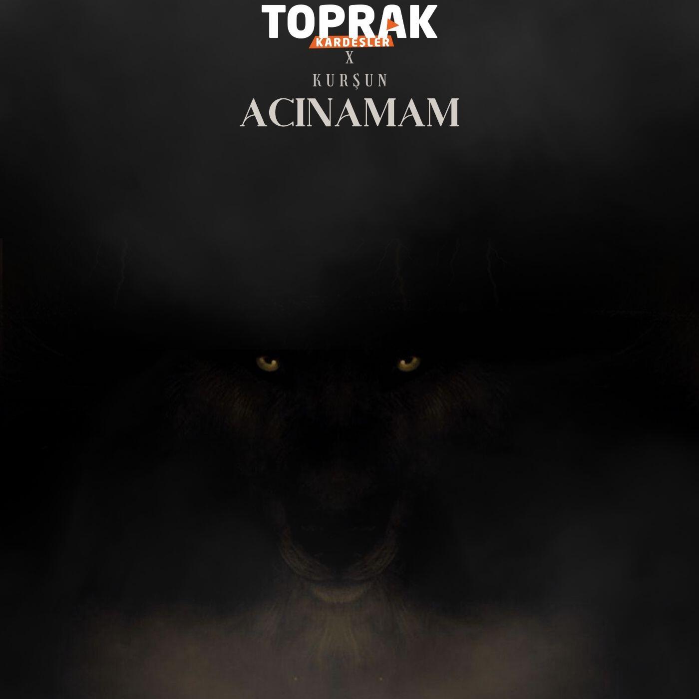 Релиз Acınamam