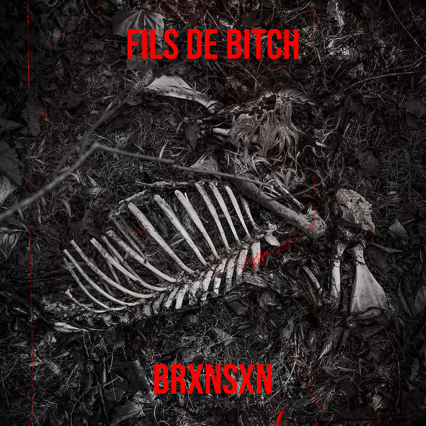 Релиз Fils de bitch