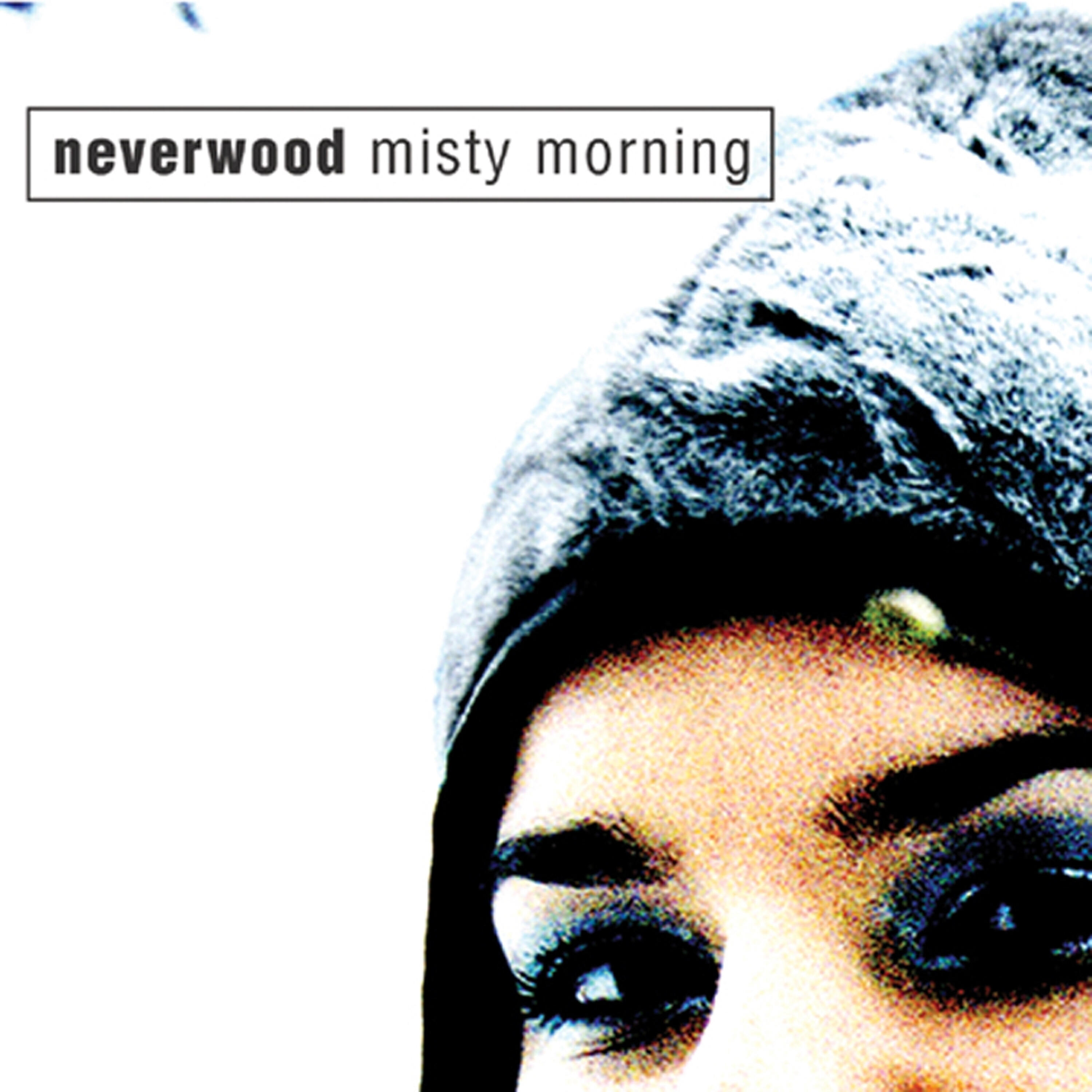 Релиз Misty Morning