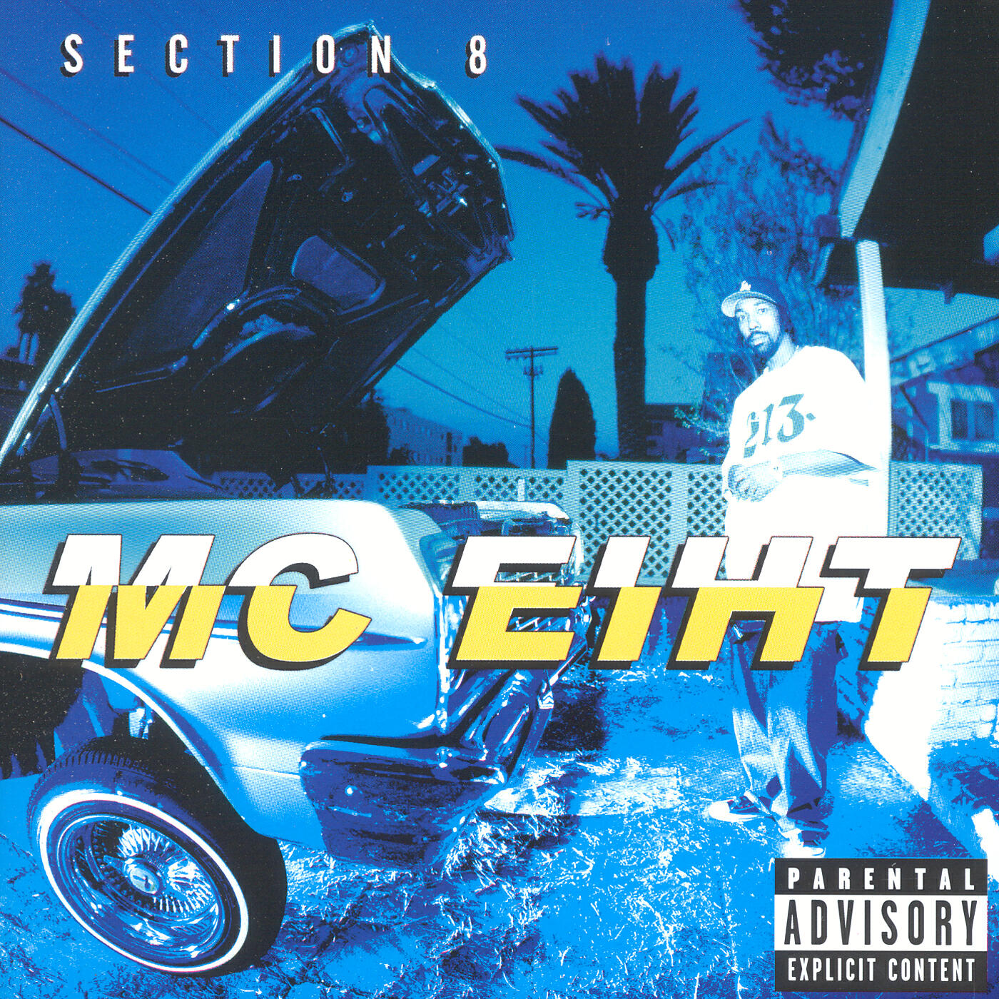 Релиз Section 8