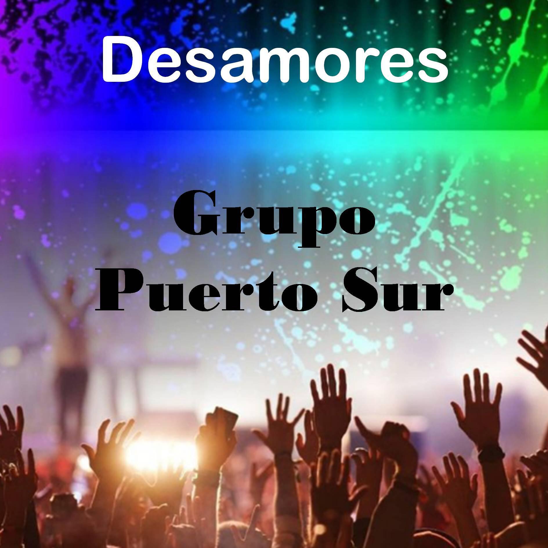 Grupo Puerto Sur