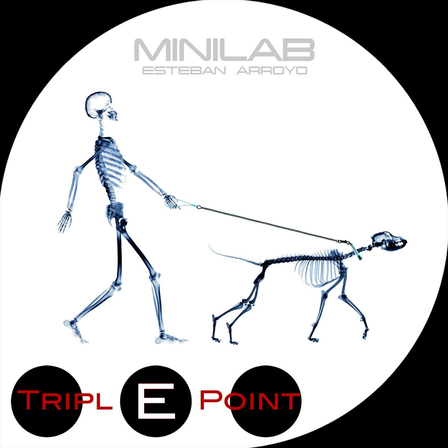 Релиз MiniLab