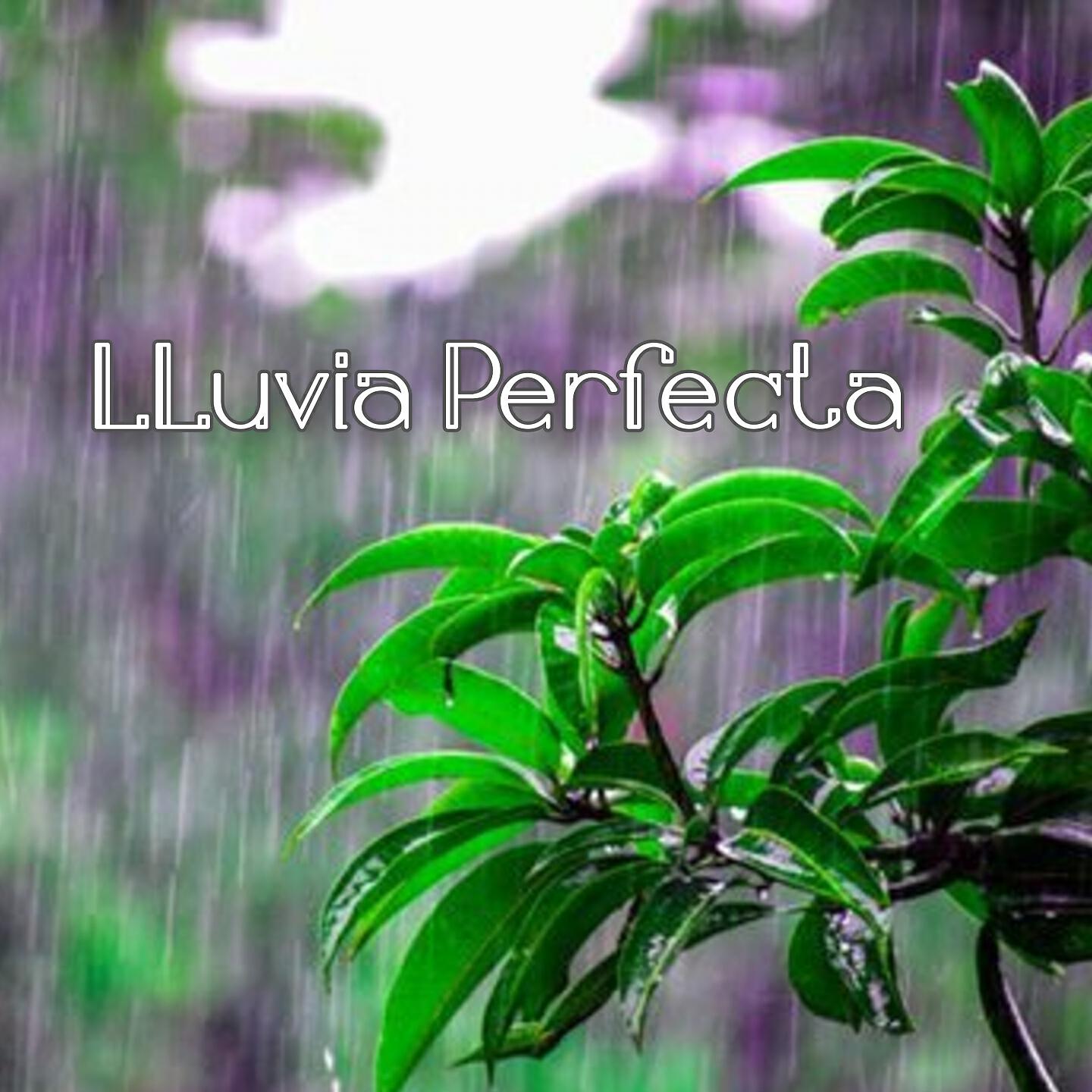 Релиз Lluvia Perfecta