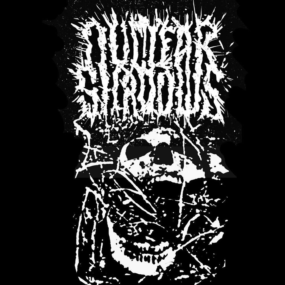 Nuclear Shadows