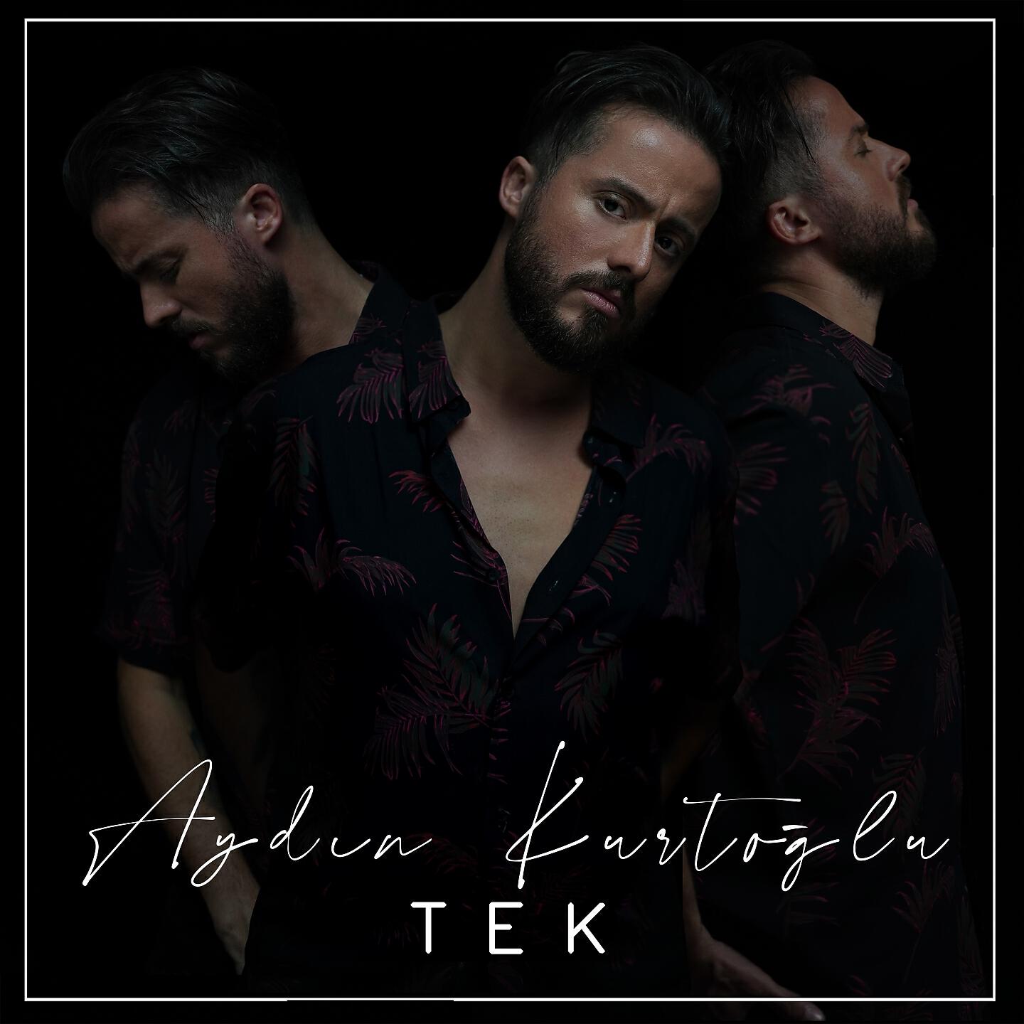 Постер альбома Tek